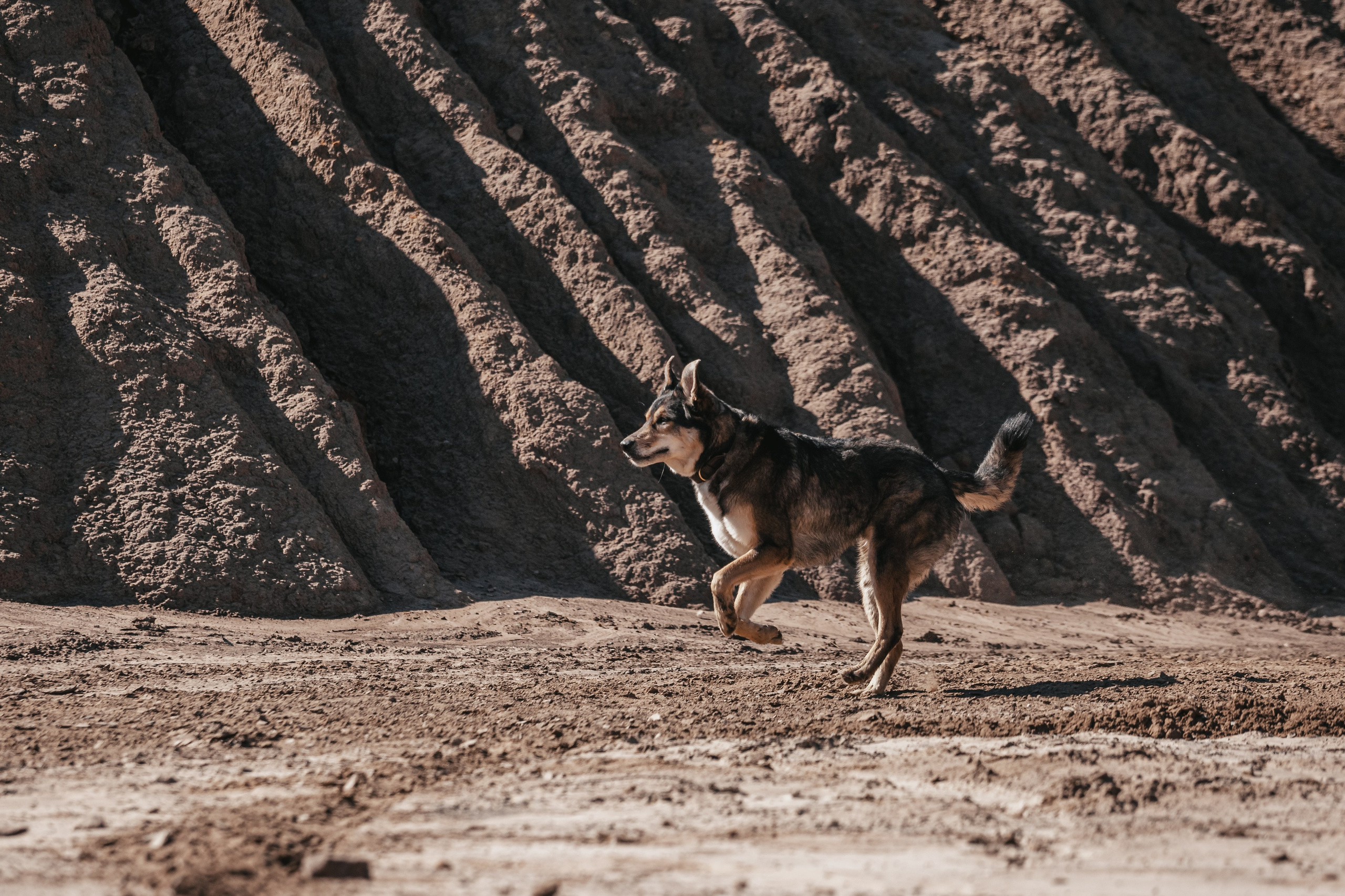 Кондуки. Фотограф-анималист Татьяна Степанова