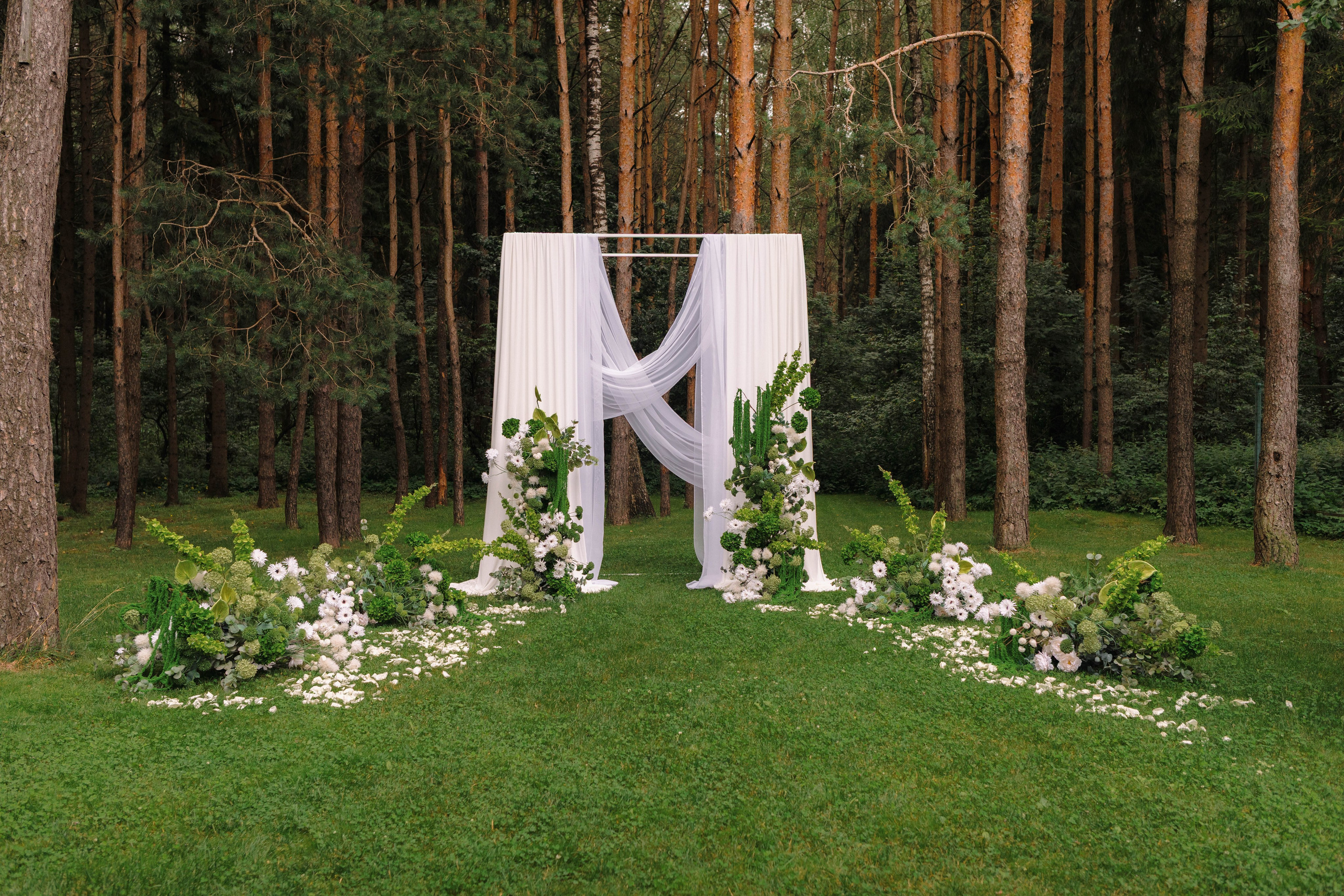 Зеленый сад