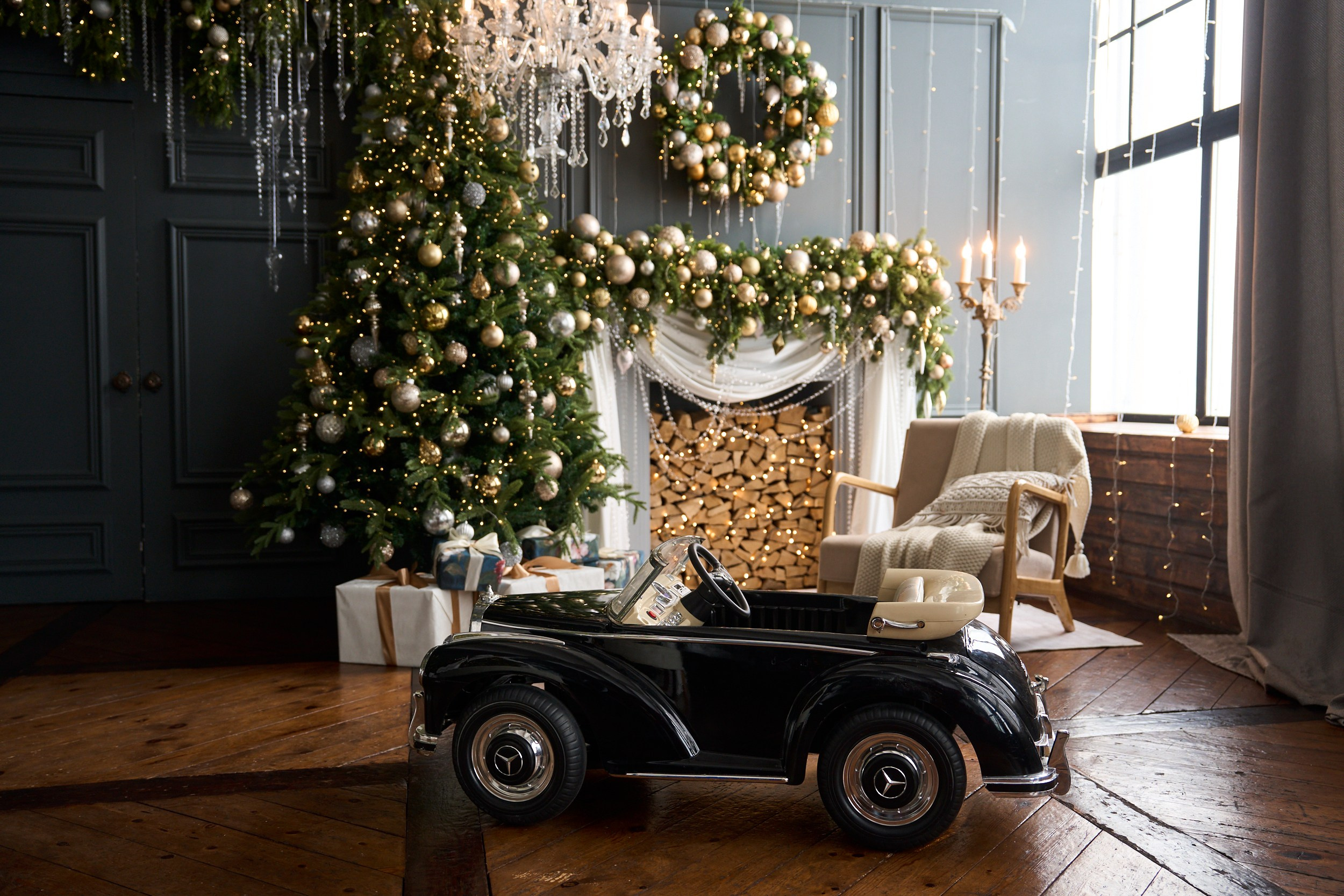 Вуд (Wood). Фотограф г. Хабаровск. Семейные и индивидуальные съёмки