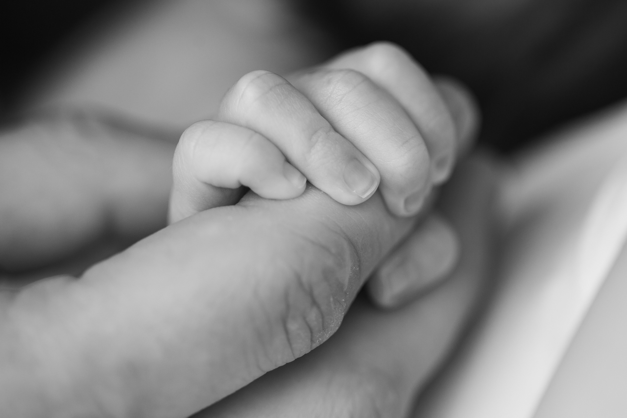 Новорожденные. Кристина Москвина. Портретный фотограф