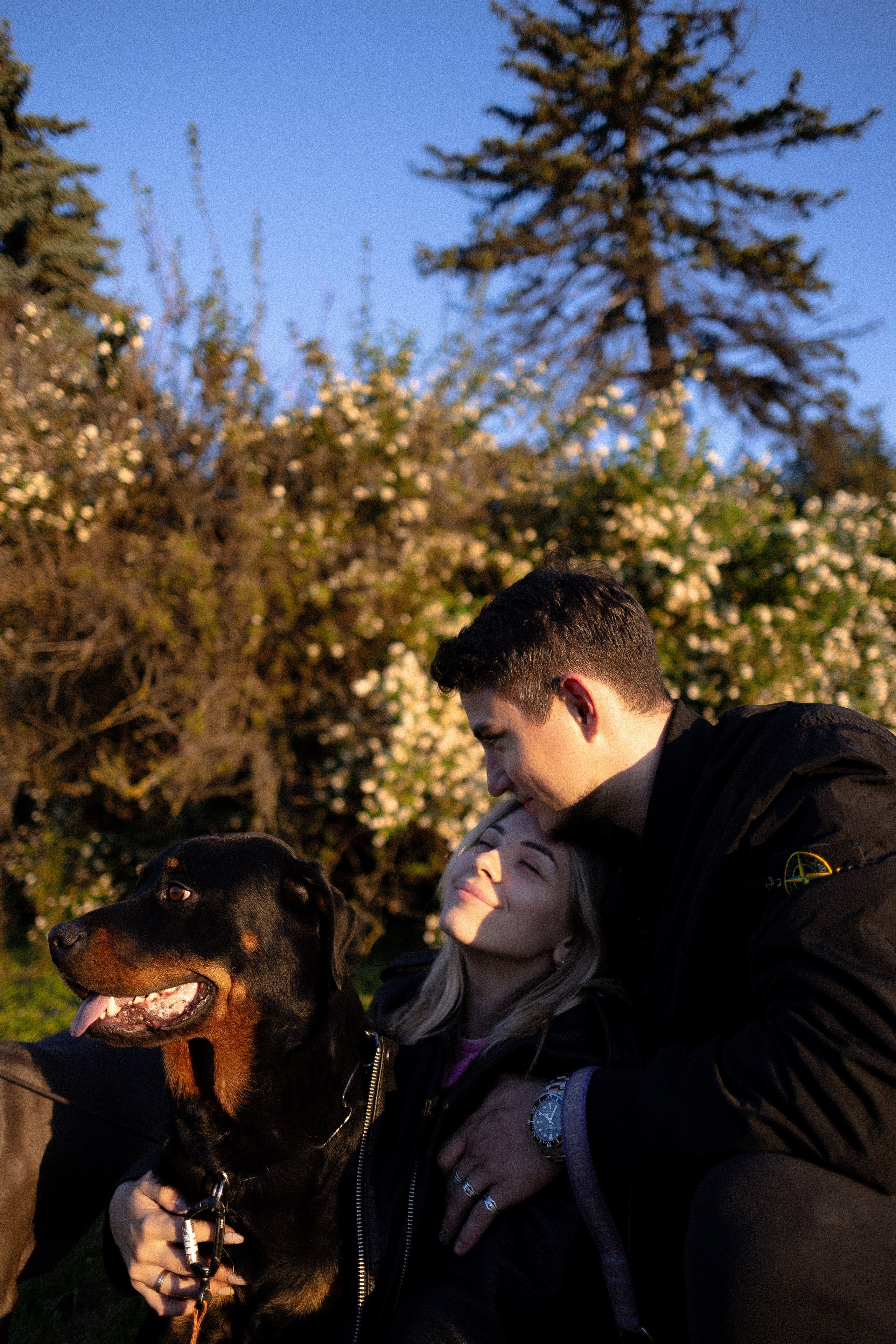 Катя, Леша, Лея и Трой. Фотограф и видеограф анималист Аганина Дарья