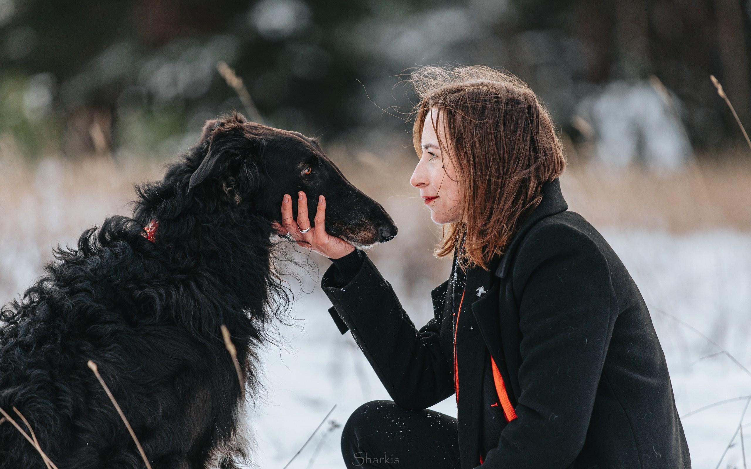 Катя и Гримм. Главная