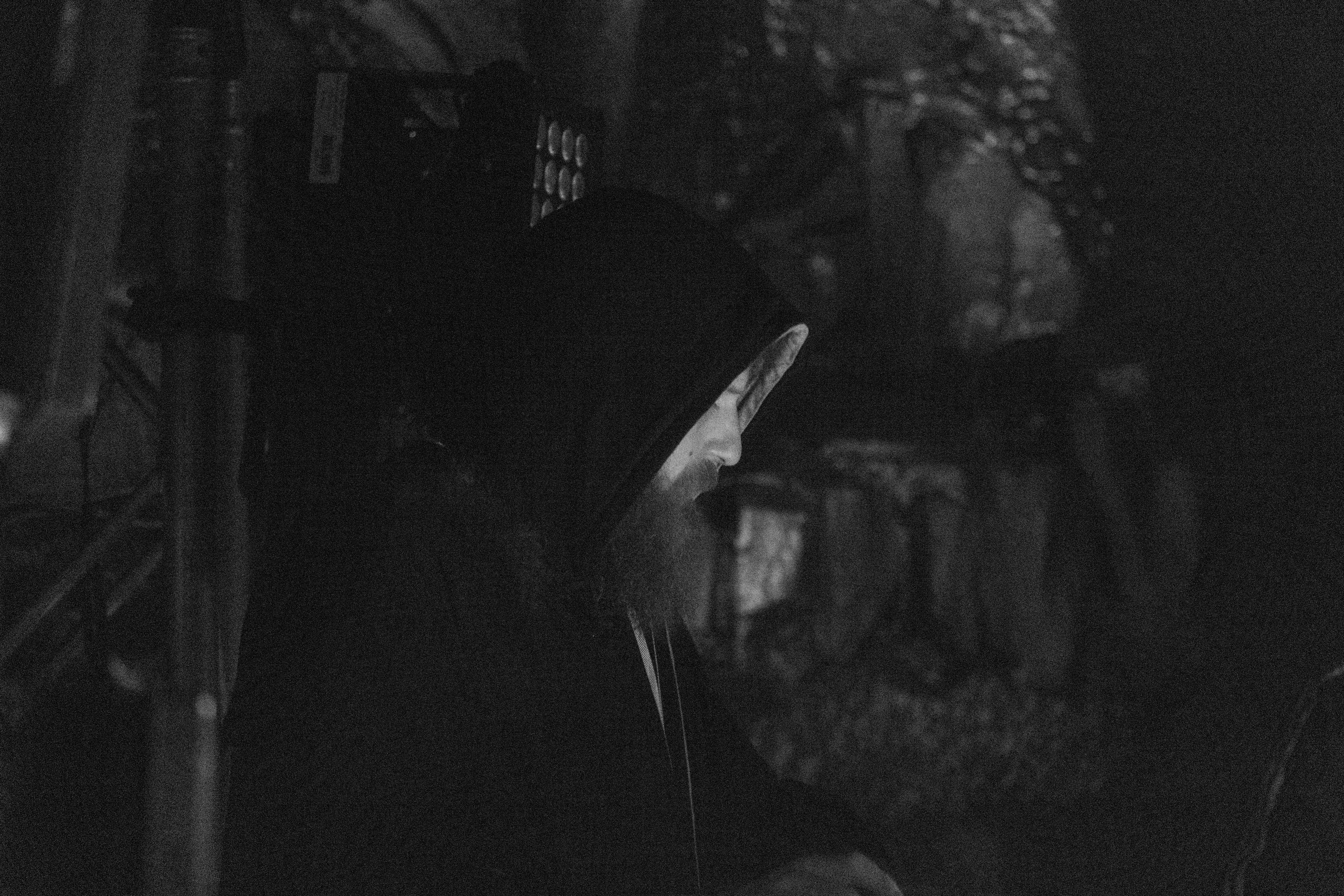 Хаски — Смоленск 23.05.2025. KiPPER Gallery — Фотограф