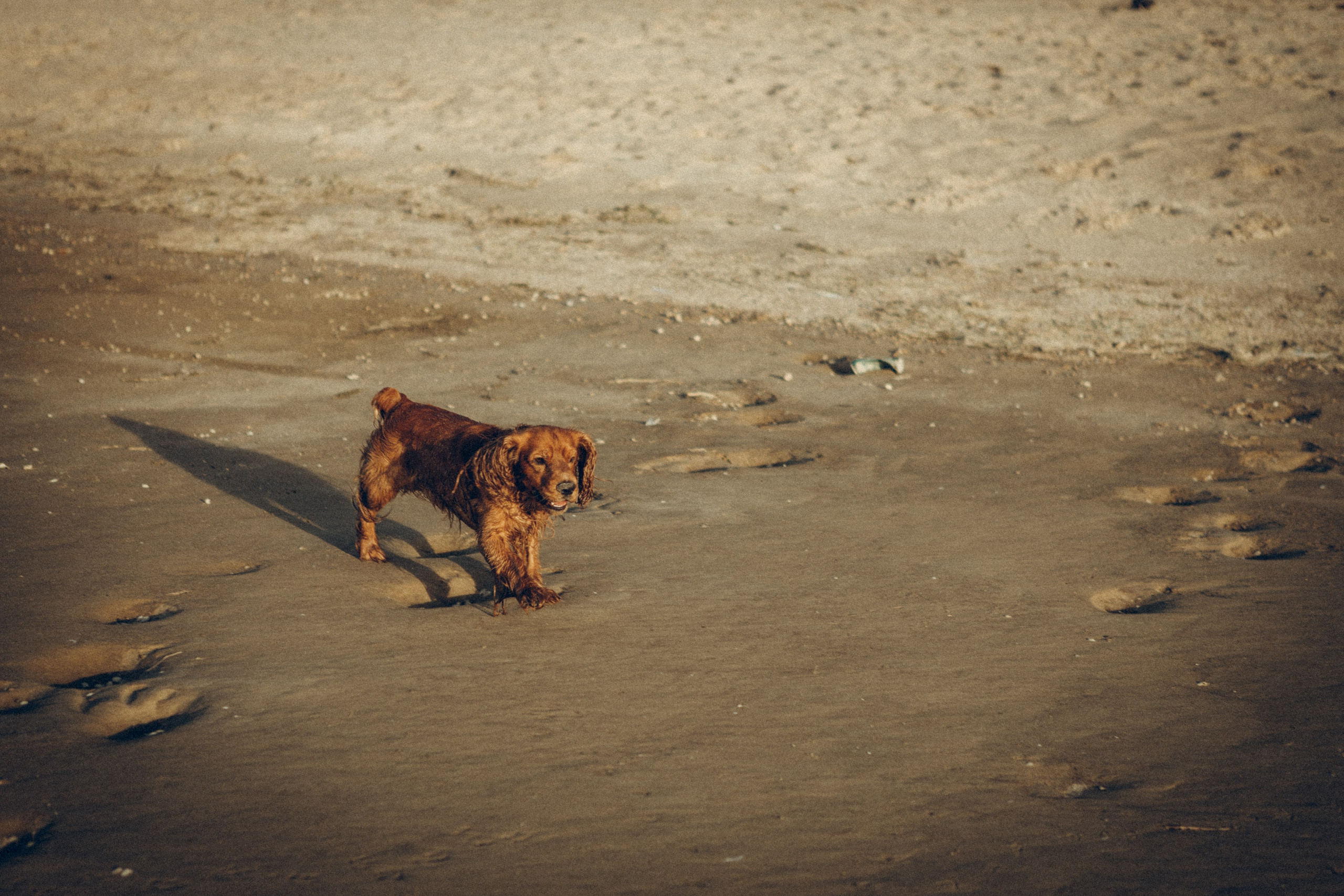 Family moment 💫. Семейный фотограф и фотограф на роды в Ростове-на-Дону Мухина Виктория