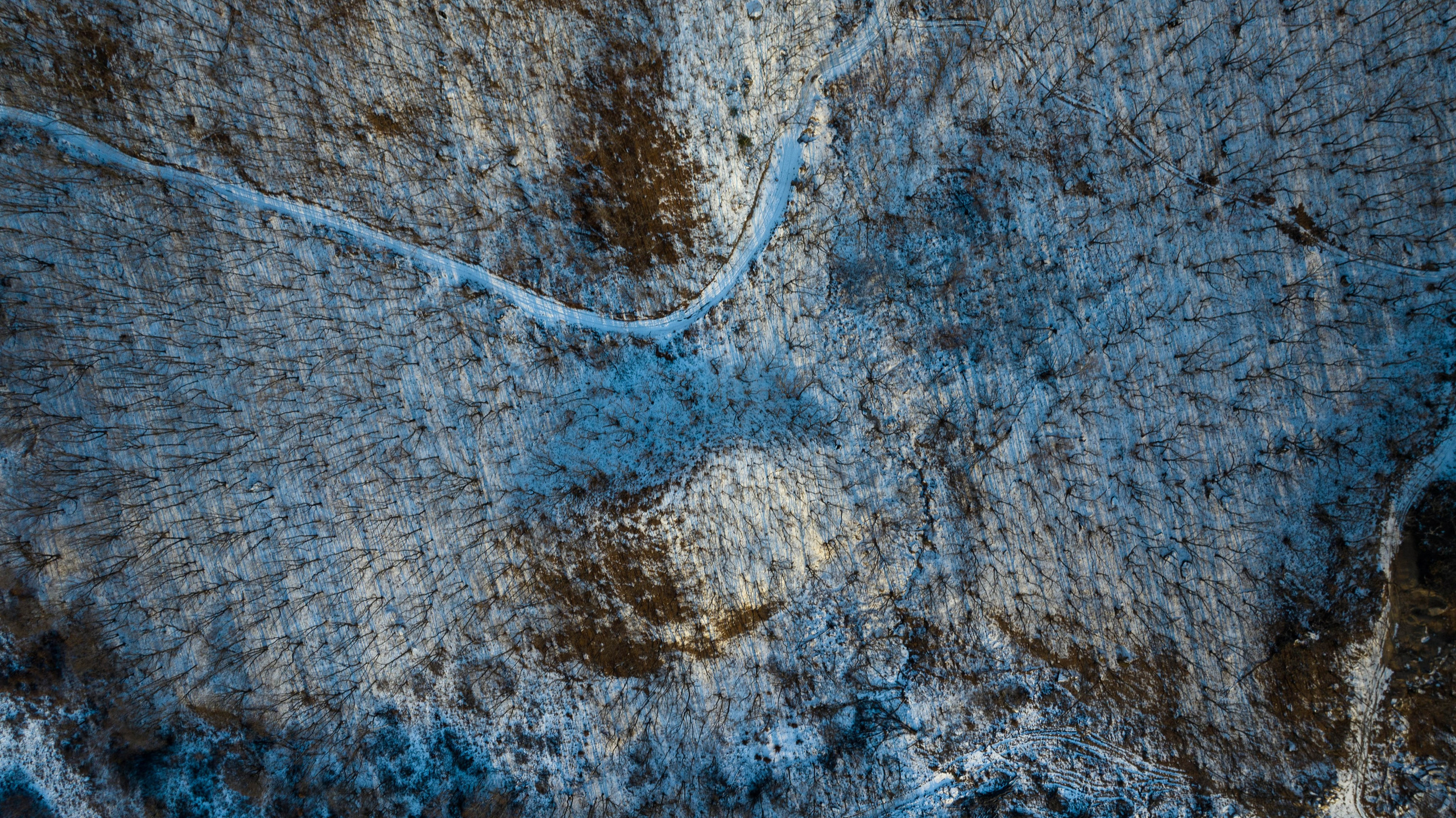 Турист оптимист