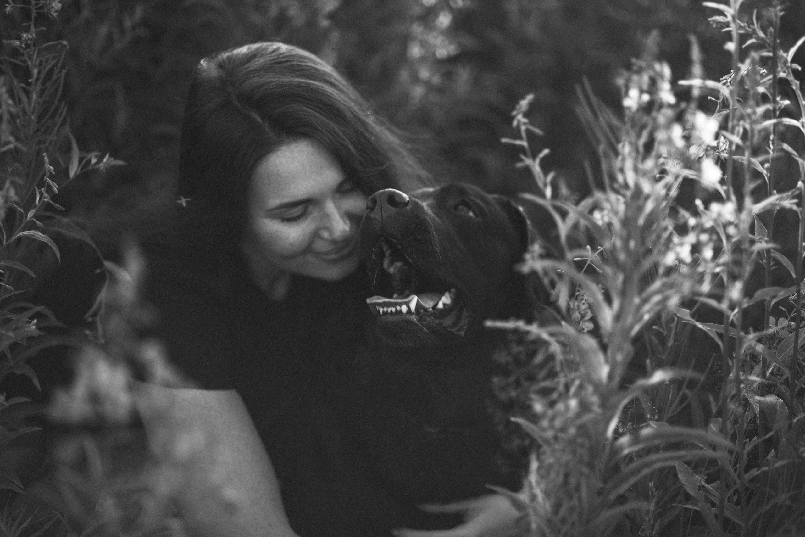 Бомбей и его семья. Фотограф — Анималист | Санкт-Петербург