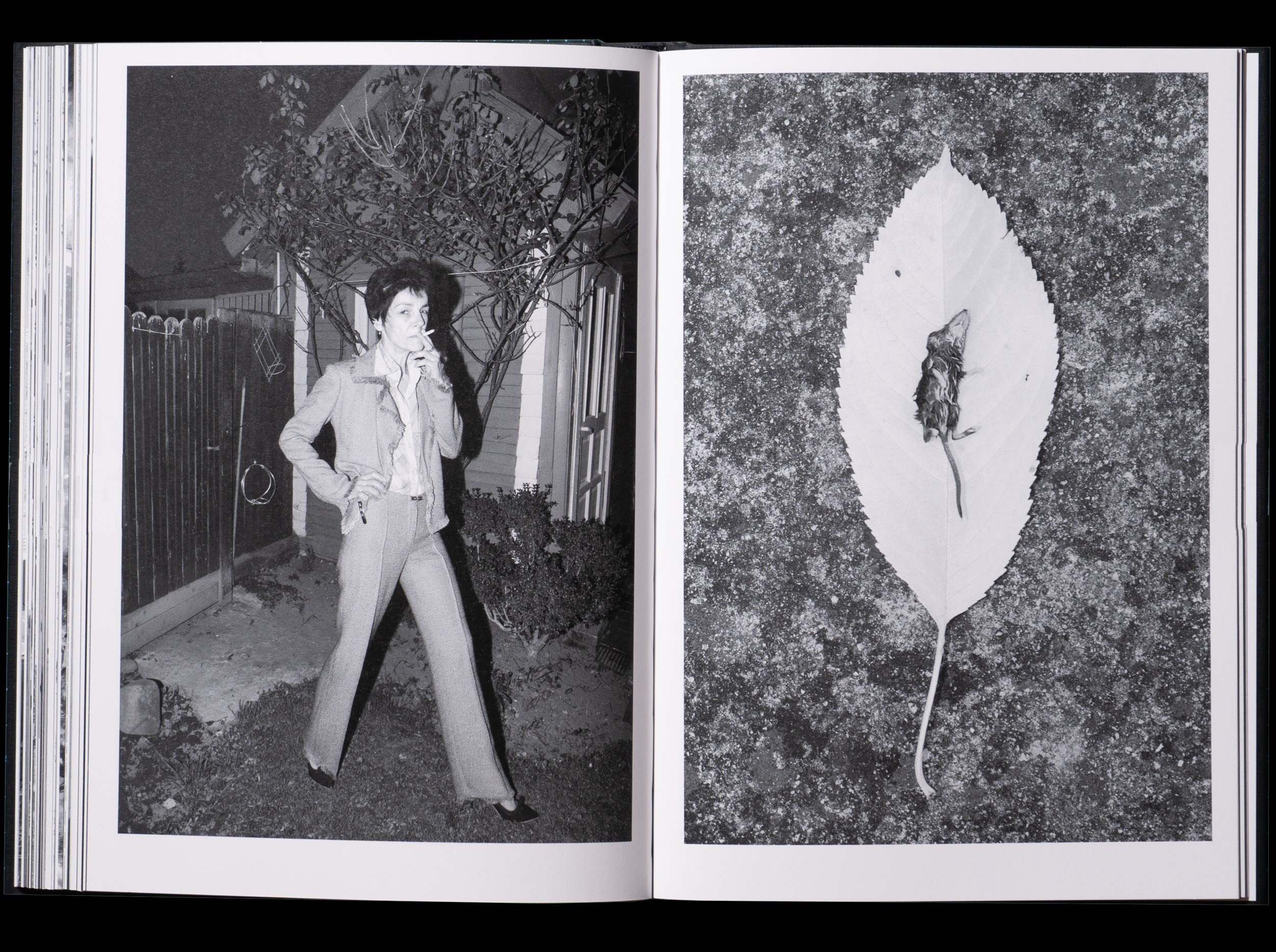 ОБЗОР АКТУАЛЬНЫХ ФОТОКНИГ: Porcelain and Wool. Самоорганизация Низина