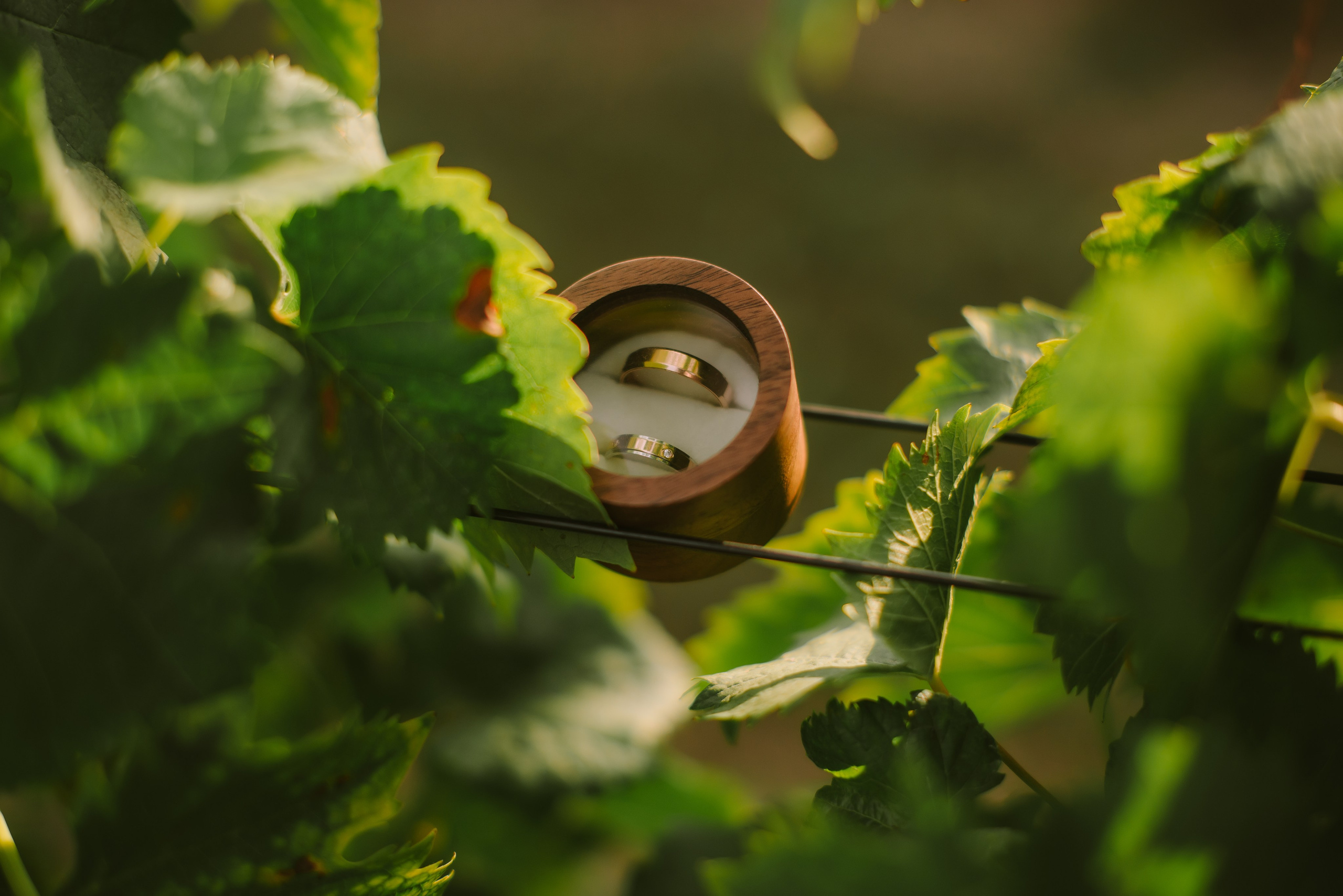 Влад и Настя (Виноделья Акчурина). Свадебный, женский, семейный фотограф в Севастополе Юлия Мошенко