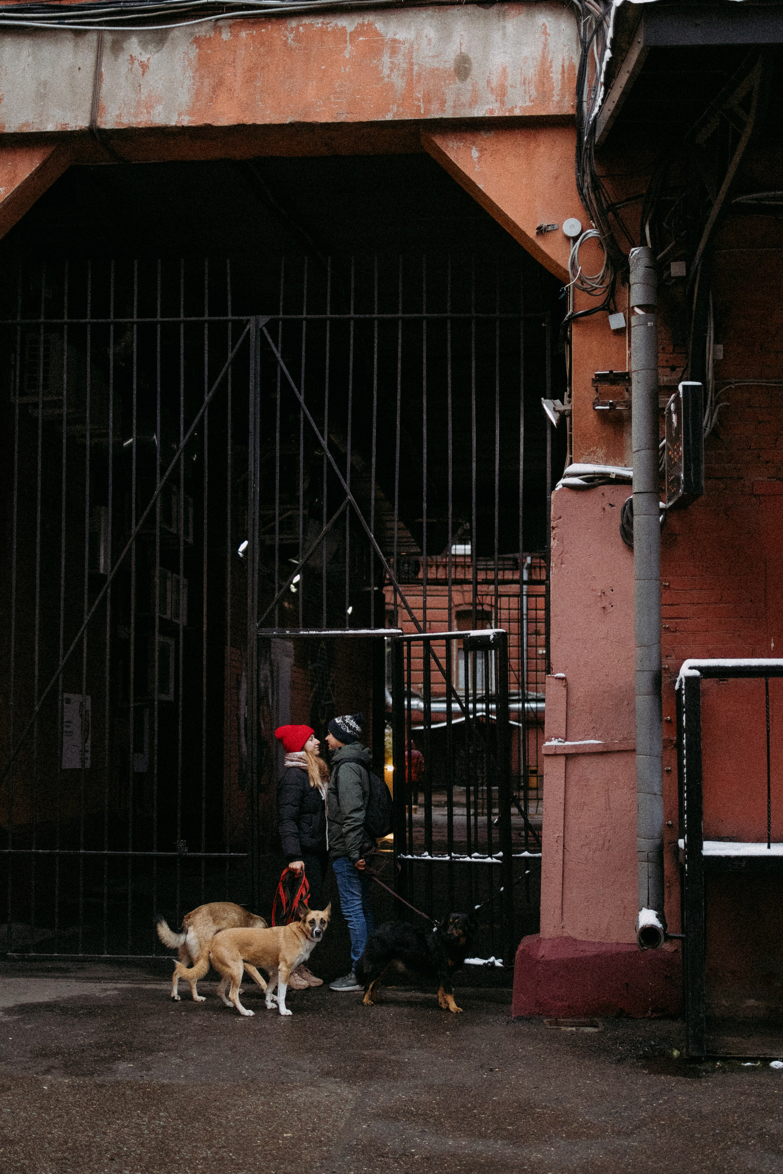 Саша, Ксюша и их банда. Фотораф — анималист Мария Шистка