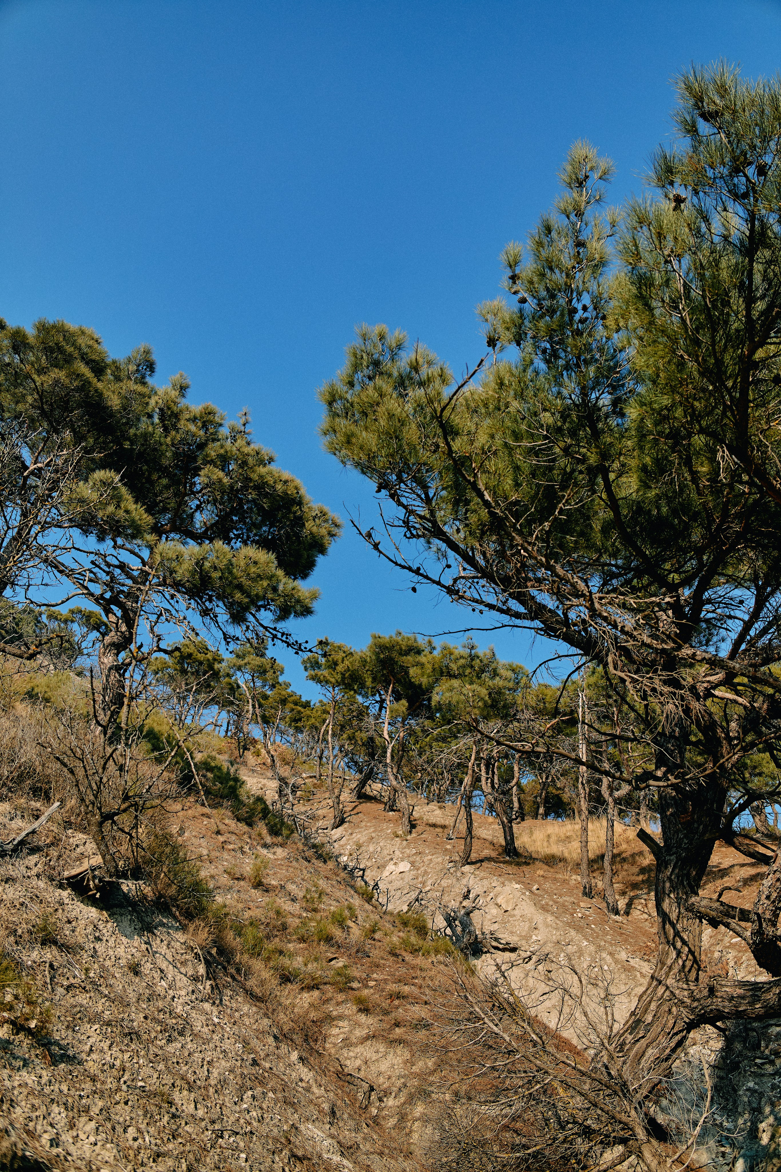 Юг России. Профессиональный Фотограф во Владимире, в Москве и в Суздале — Полина Романычева
