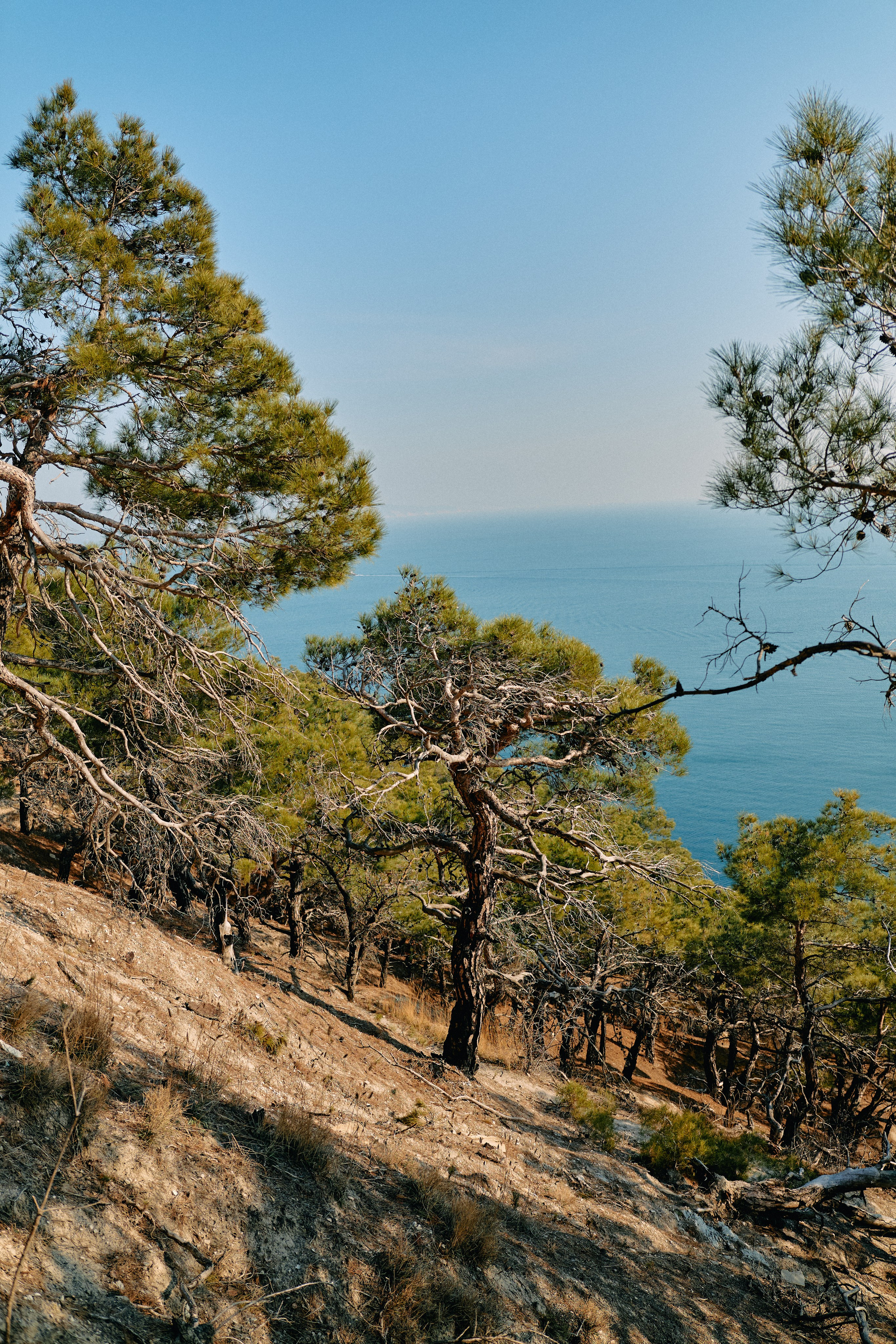 Юг России. Профессиональный Фотограф во Владимире, в Москве и в Суздале — Полина Романычева