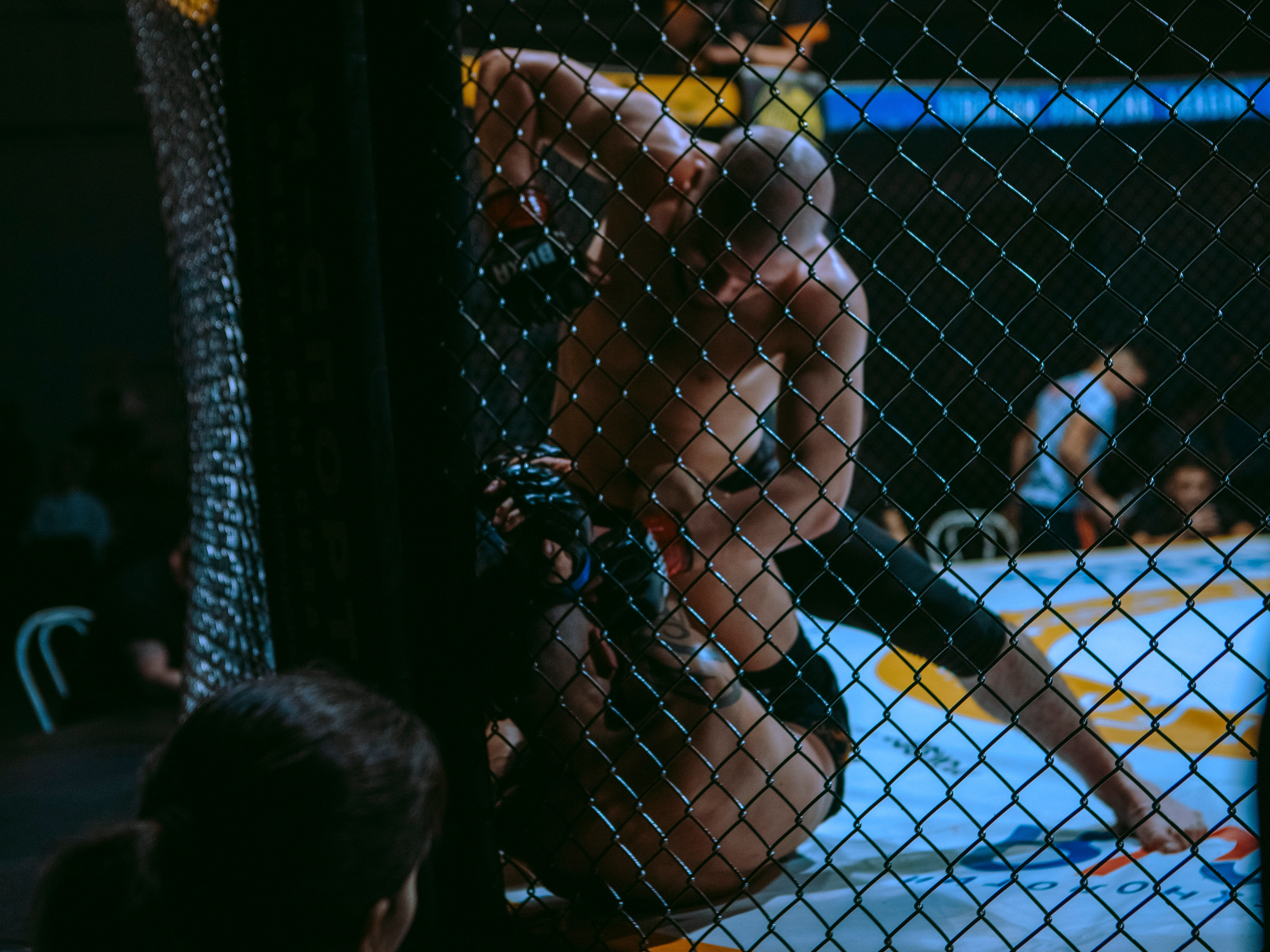 SFL 17 | Siberian Fighting League. Портретный фотограф в Москве Дарья Цезария