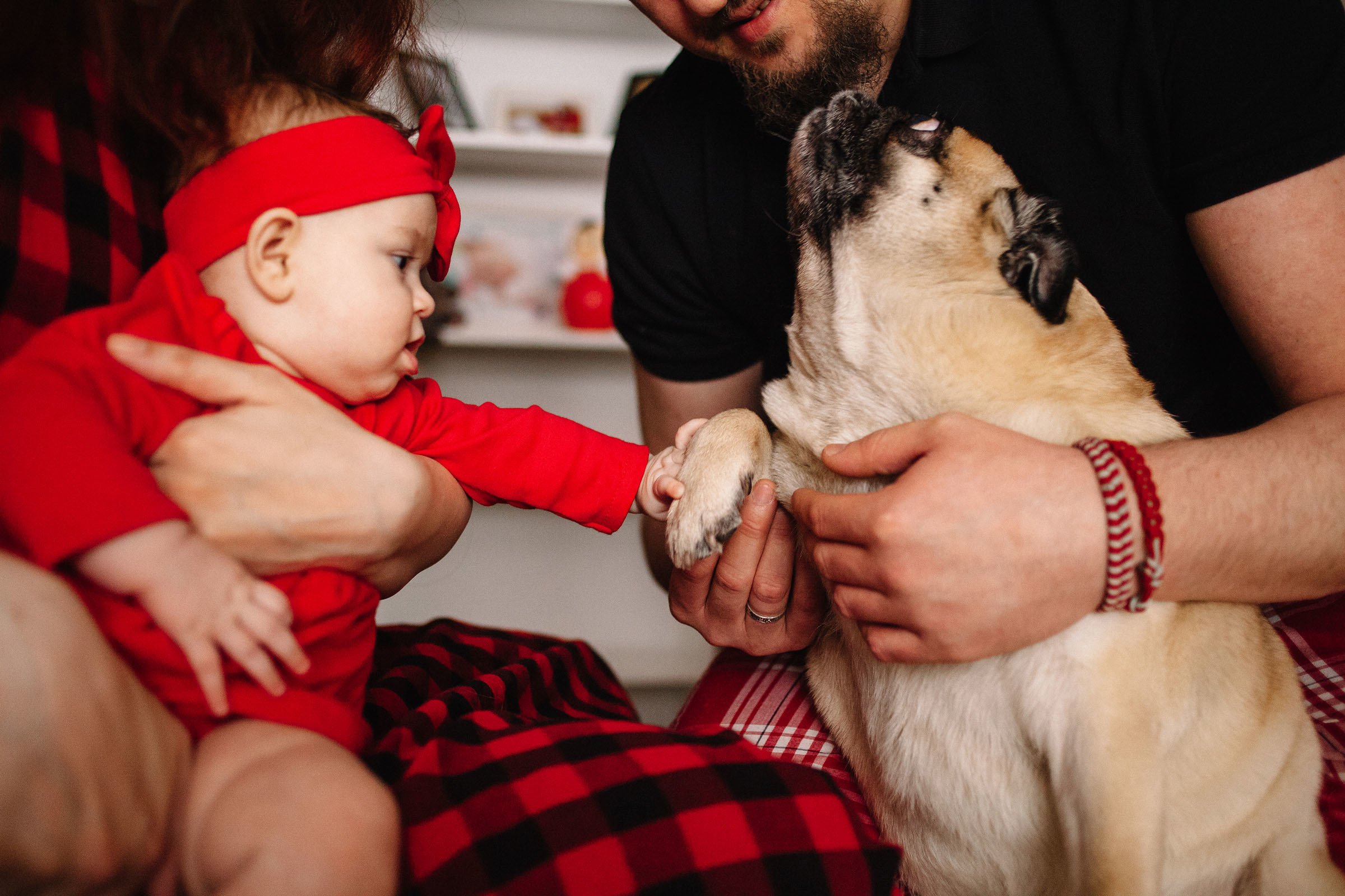 Краснобелые. Семейный и свадебный фотограф в Майкопе Михаил Мартиросян