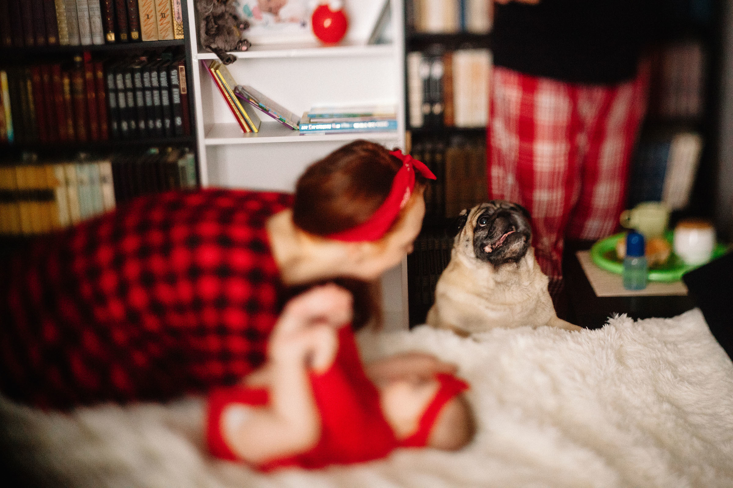 Краснобелые. Семейный и свадебный фотограф в Майкопе Михаил Мартиросян