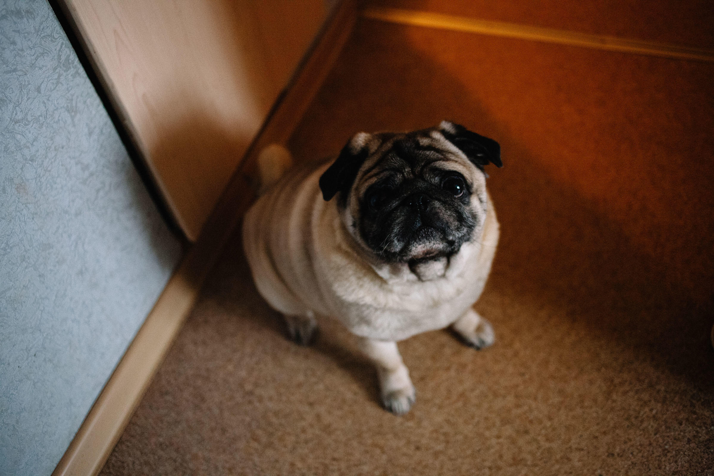 Краснобелые. Семейный и свадебный фотограф в Майкопе Михаил Мартиросян