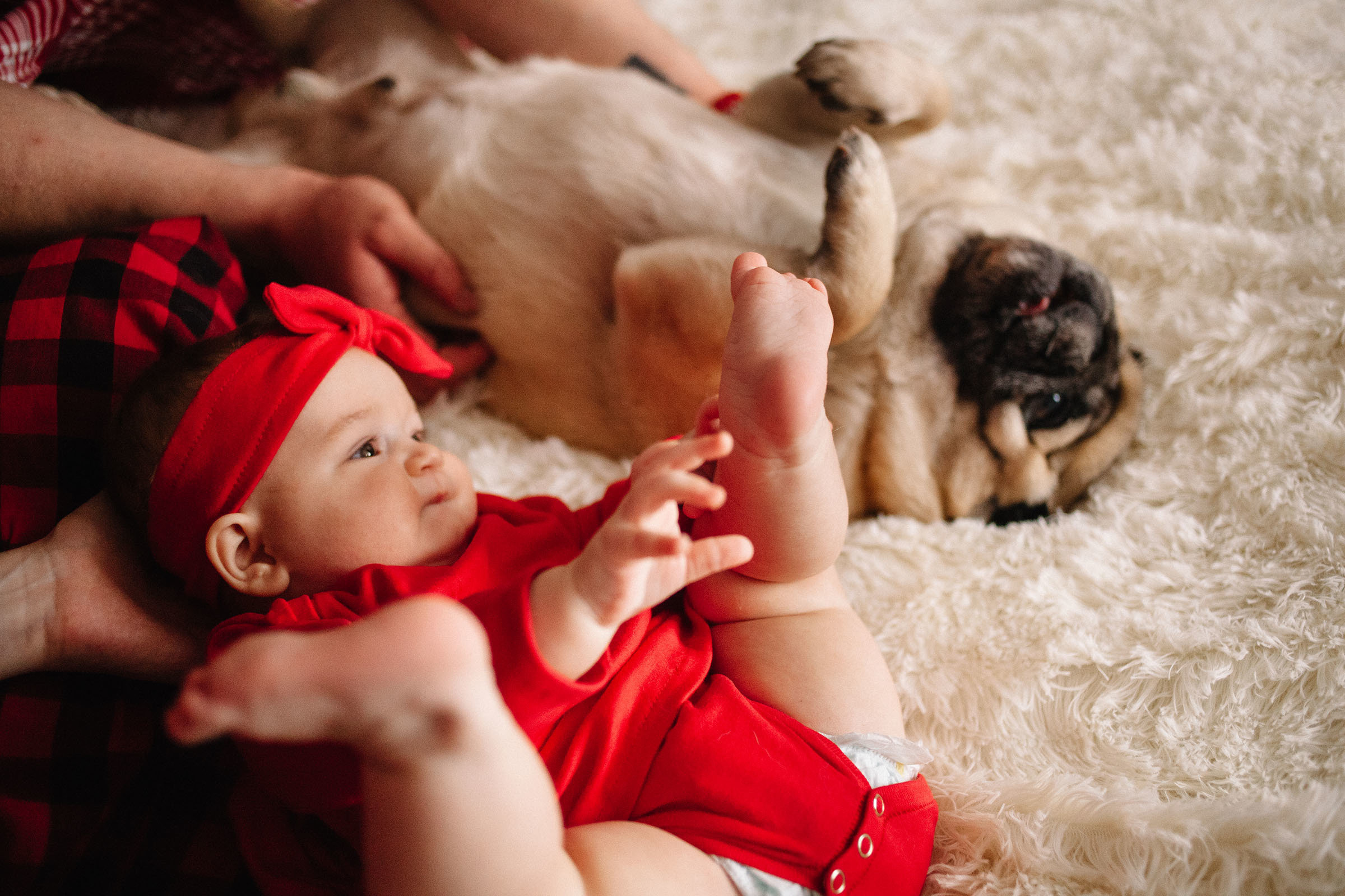 Краснобелые. Семейный и свадебный фотограф в Майкопе Михаил Мартиросян