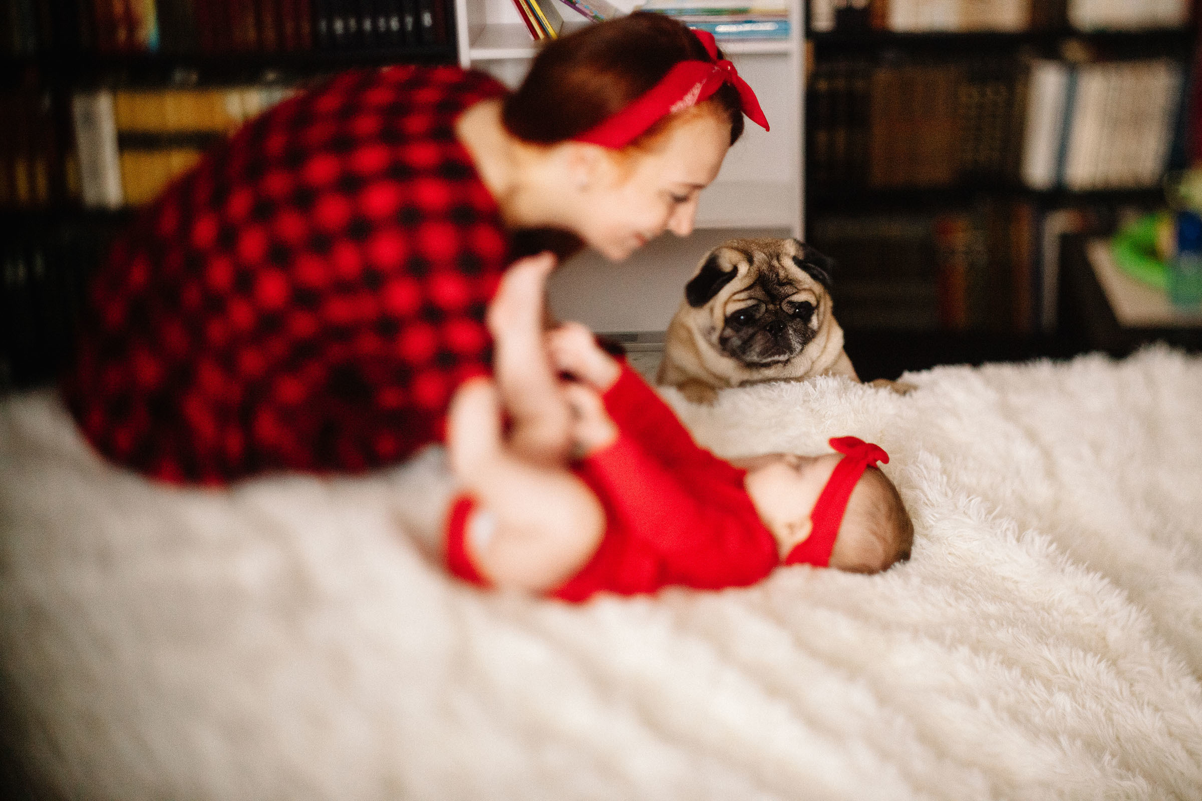 Краснобелые. Семейный и свадебный фотограф в Майкопе Михаил Мартиросян