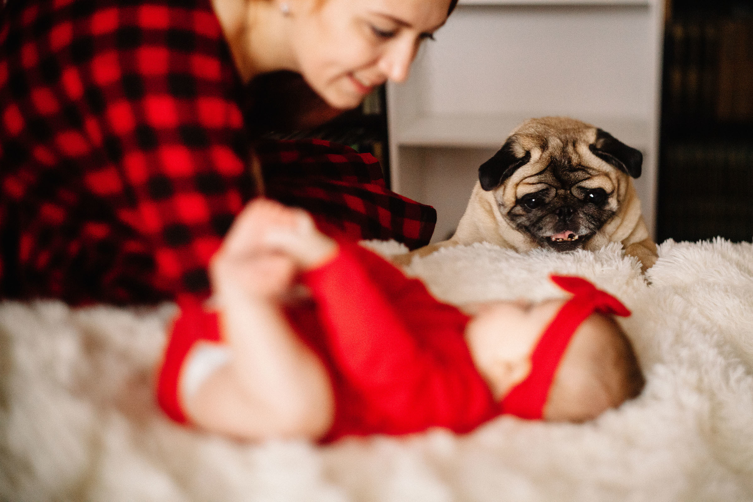Краснобелые. Семейный и свадебный фотограф в Майкопе Михаил Мартиросян