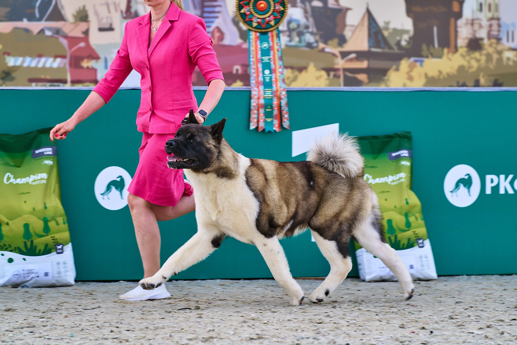 08.06.2024 «РОССИЯ. КУБОК РКФ 2024»