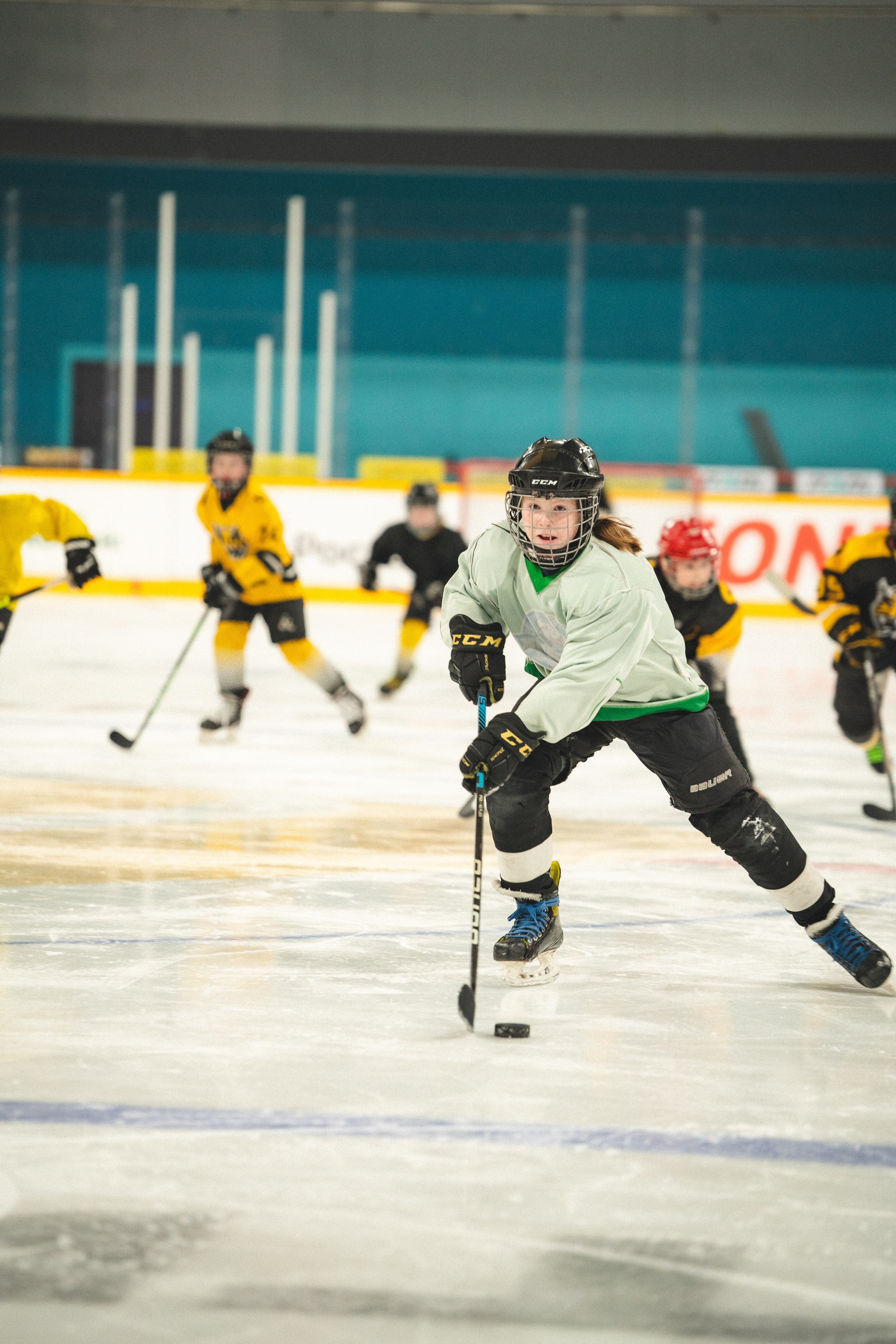 ХК Северсталь (младшая группа). Череповец. Zekons. Фото, видео, нейросети