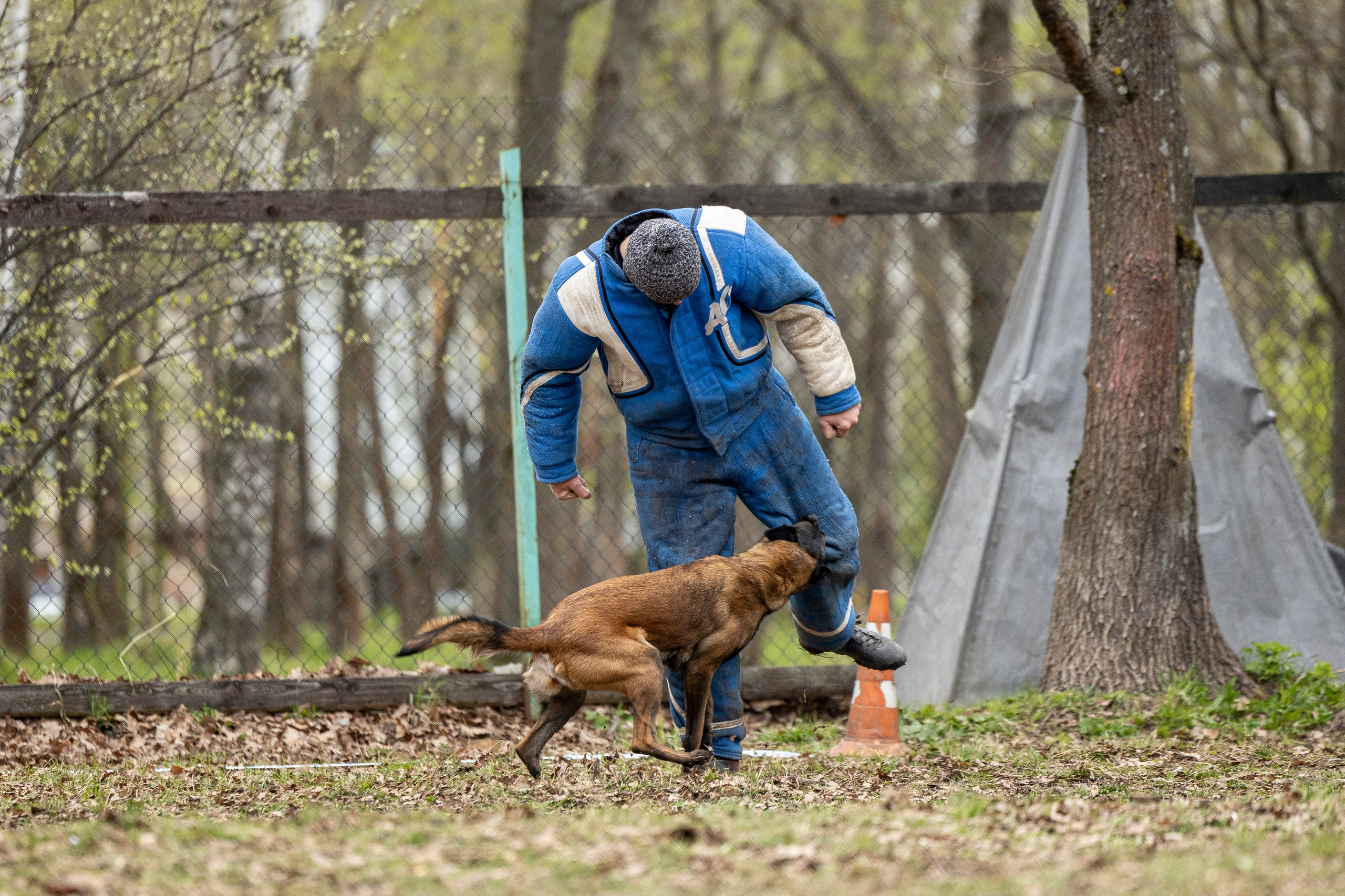 Квалификационные состязания по мондьорингу г. Вологда 11.05.24. Фотограф-анималист Анна Маринич