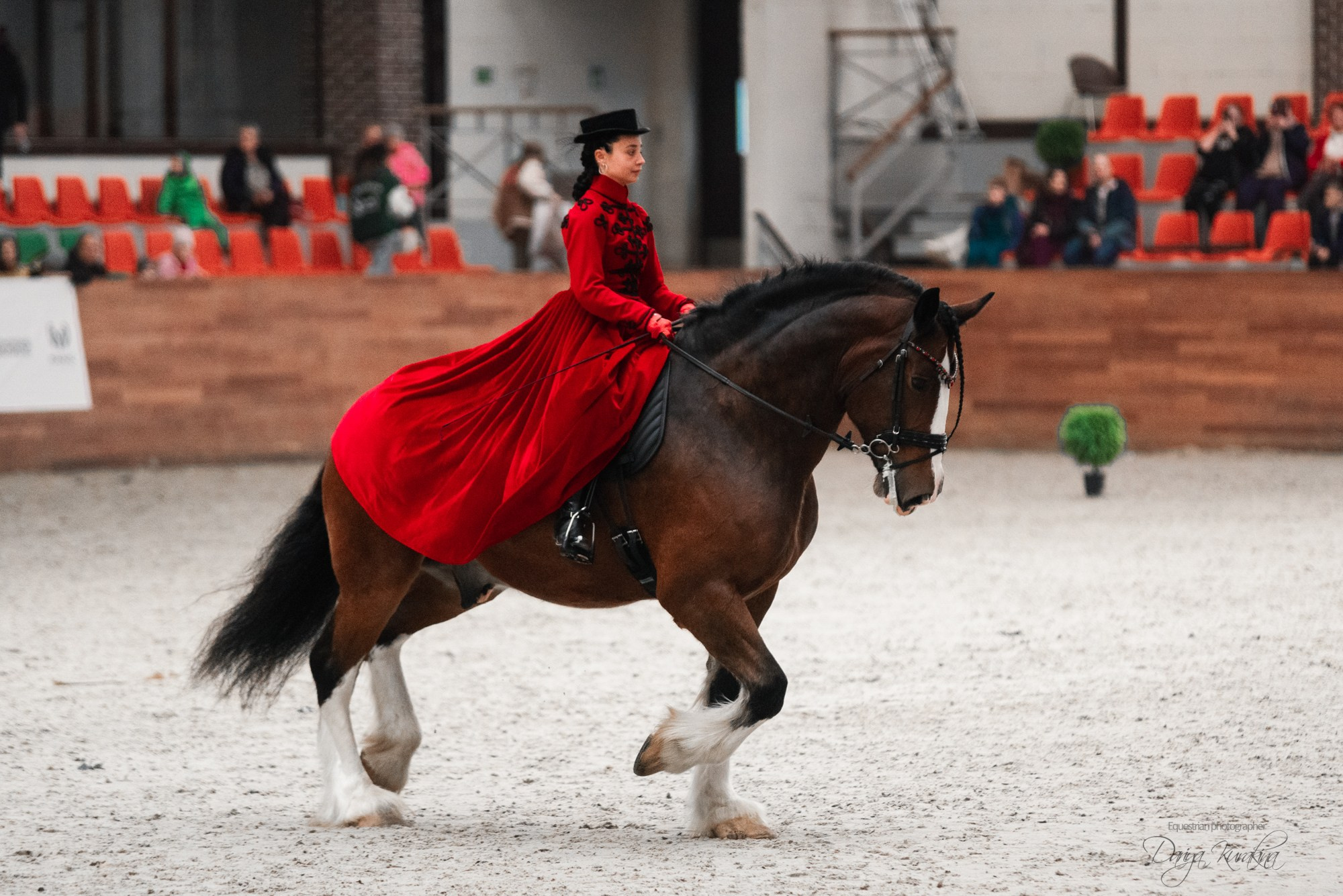 8-я международная выставка Конная Россия. Конный фотограф Куракина Дарья • Фотосессии с лошадьми