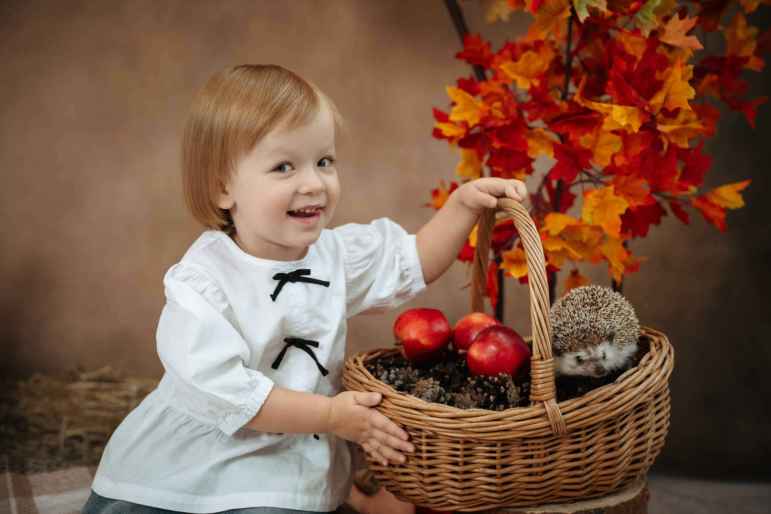 Ёжик. Фотограф Казакова Анастасия