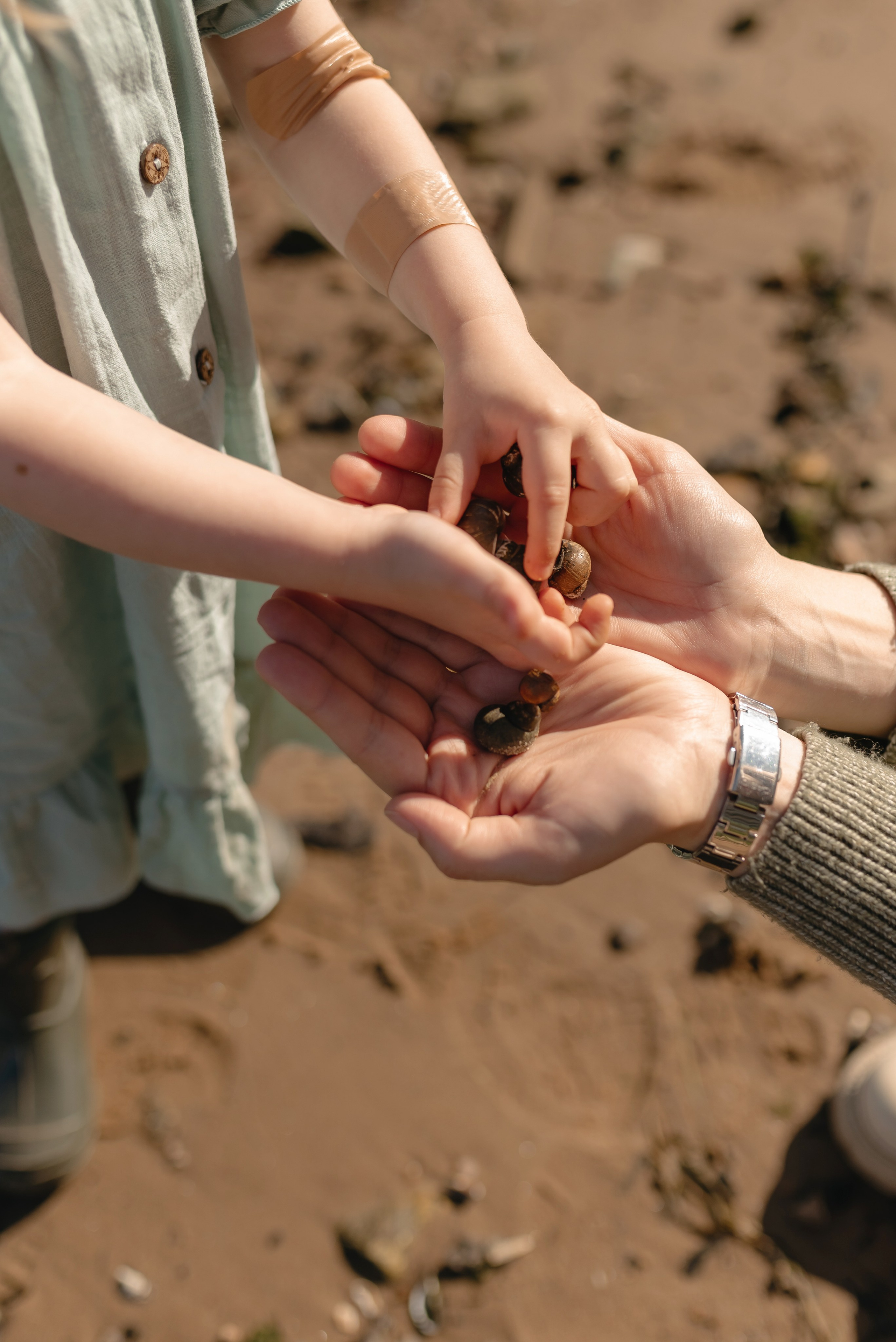 Фотосессия на пляже. Семейный и портретный фотограф Нижний Новгород