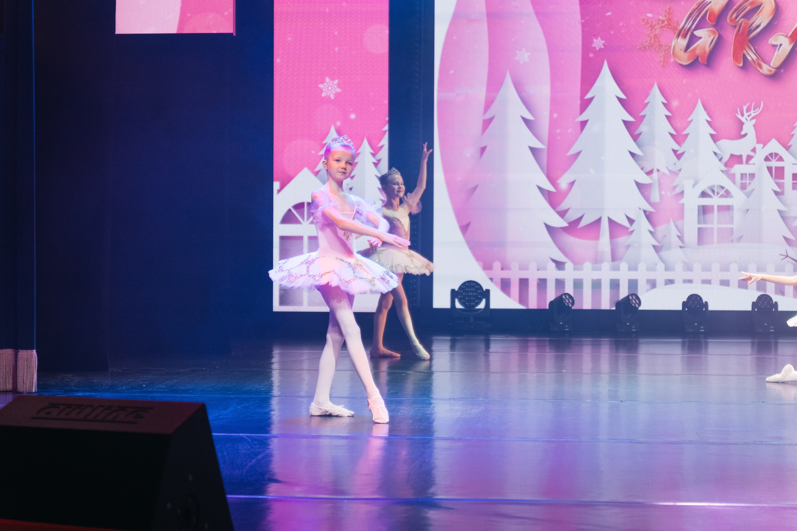 СурГУ 23.12.23. Репортажный и свадебный фотограф в Сургуте