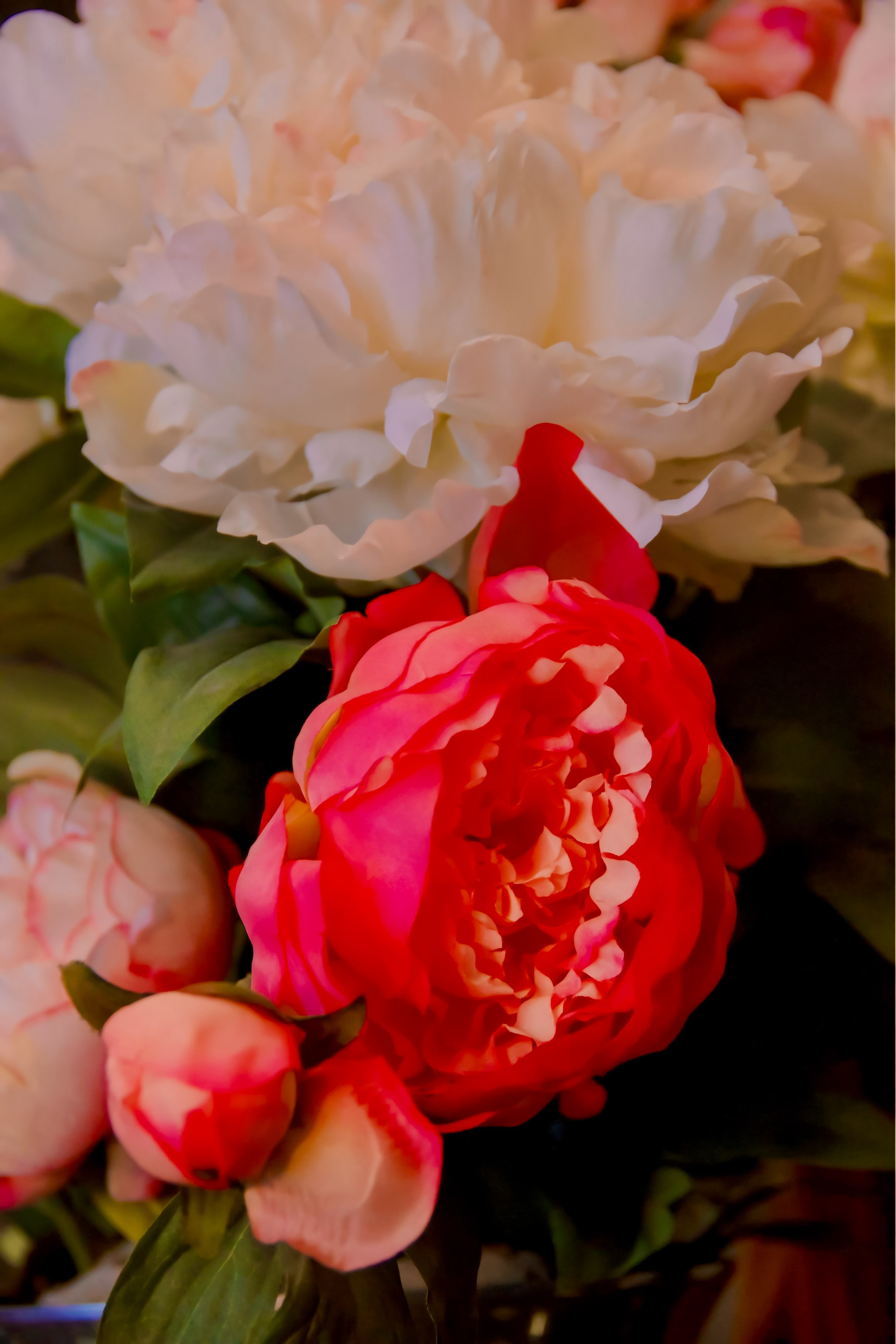 Ravon. Портретный и семейный фотограф в Москве Мария Иванова