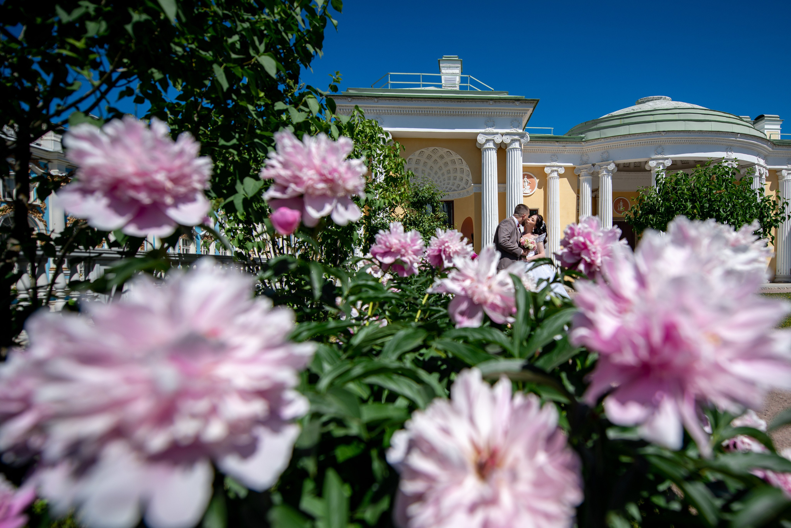 Фотосессия в Пушкине в Александровском, Екатерининском парке и Летнем саду. Портретный, семейный и свадебный фотограф в Санкт-Петербурге и в Пушкине Ширяев Денис
