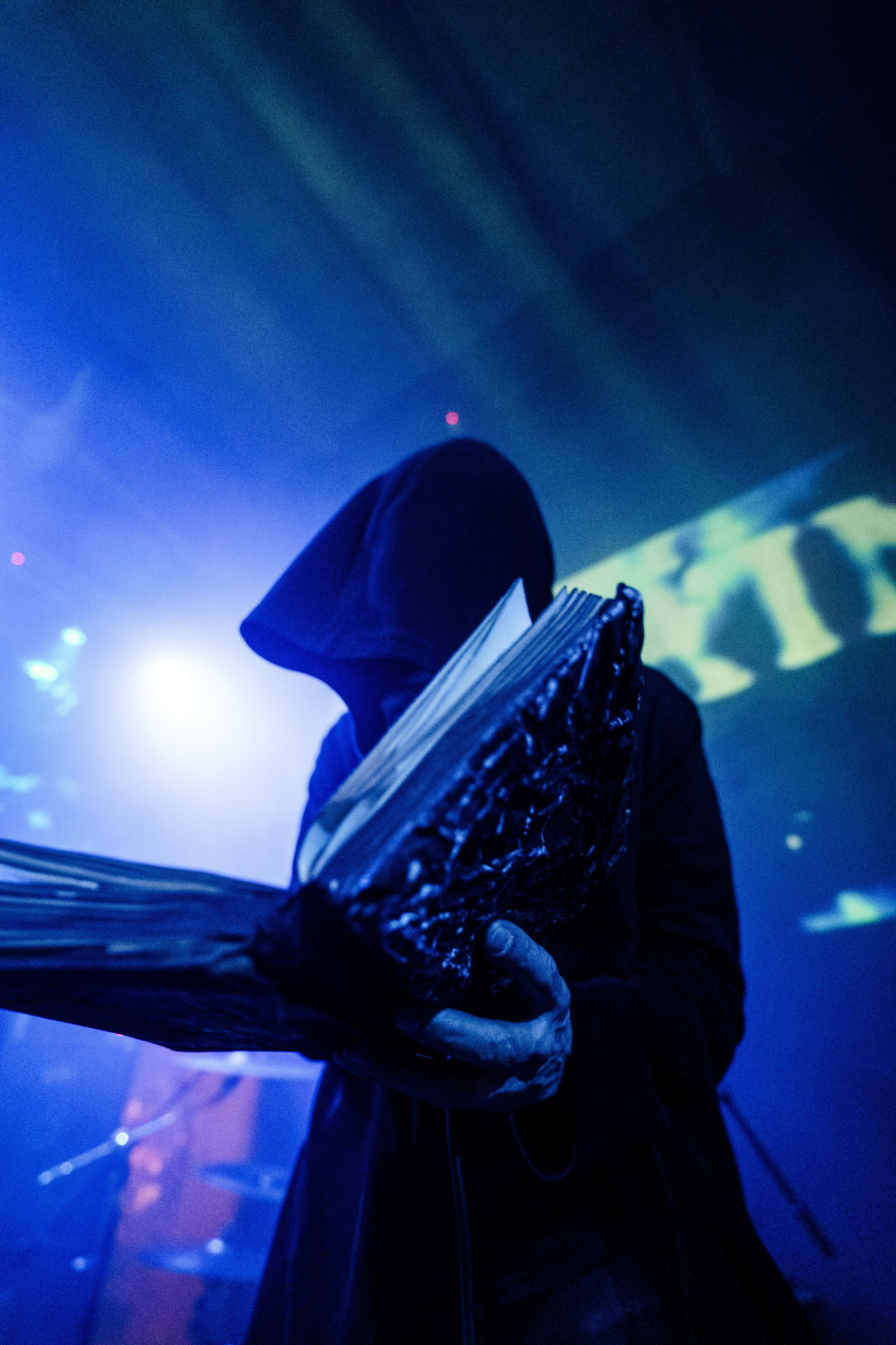 Inside the Rain|Ласточка. Концертный и репортажный фотограф в Санкт-Петербурге Слава Пахомов