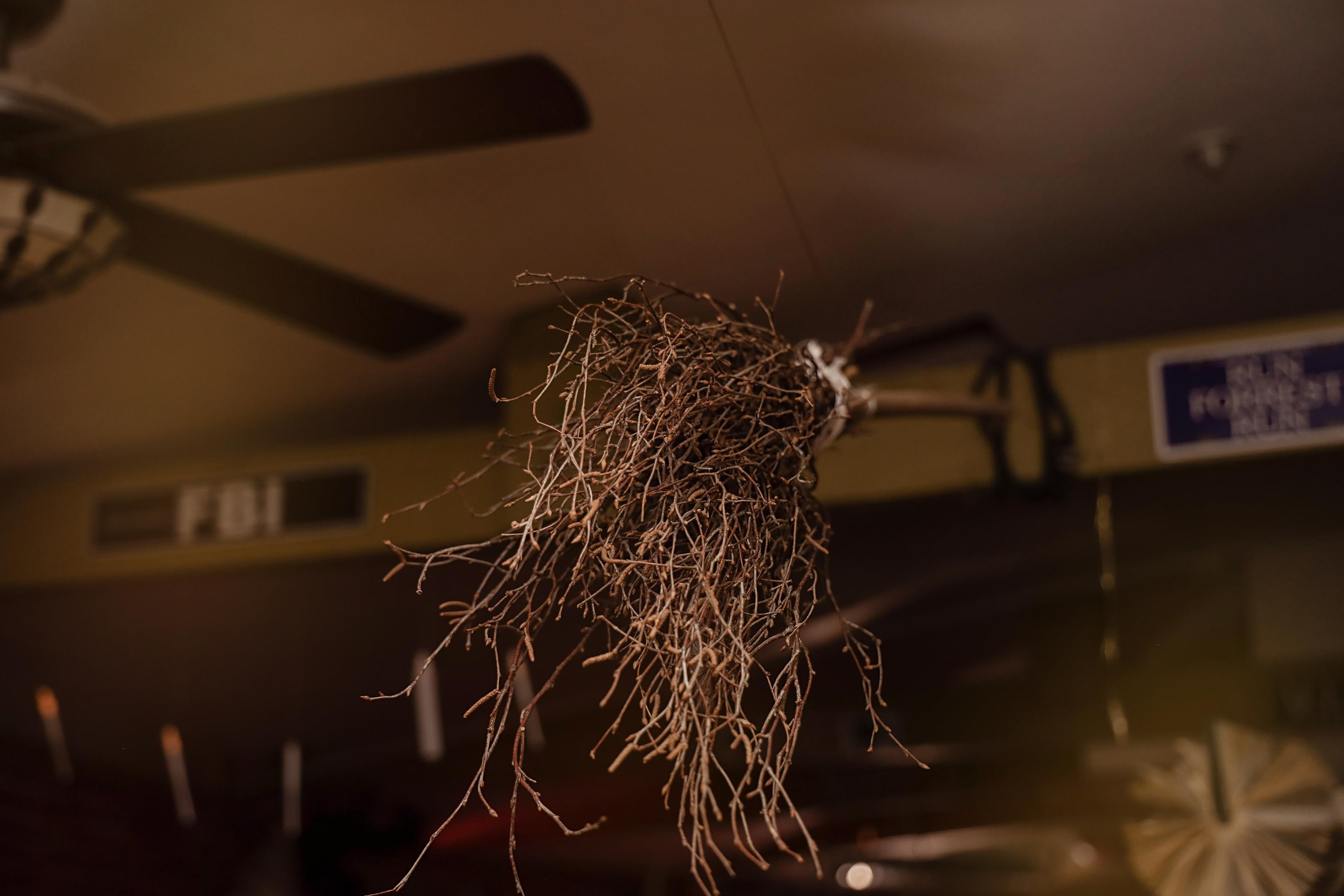 A Harry Potter party. Алина Малышева, свадебный и семейный фотограф Москва