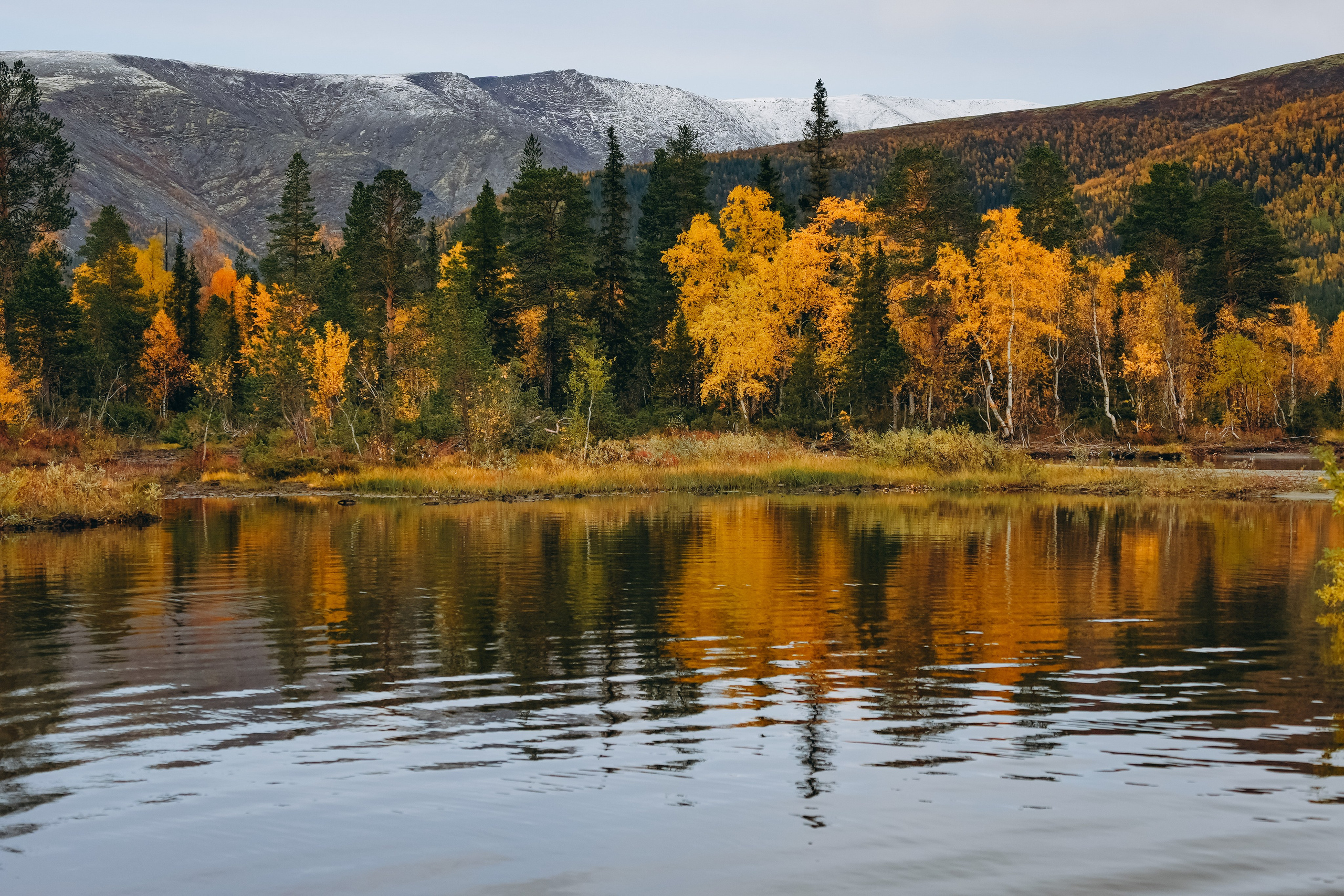 СЕВЕР. Event фотограф Степанова Александра