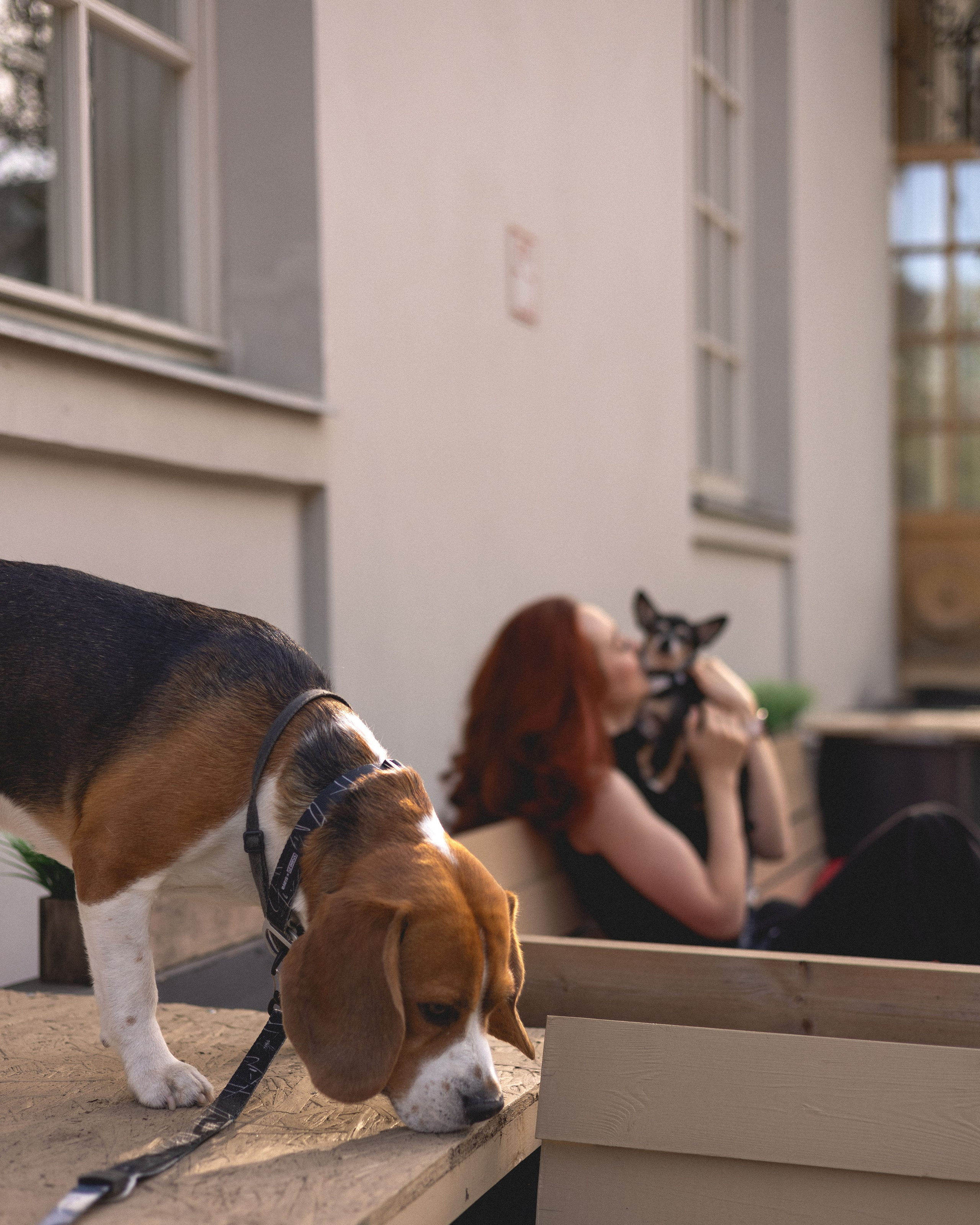 Вика & Давид. Фотограф Москва