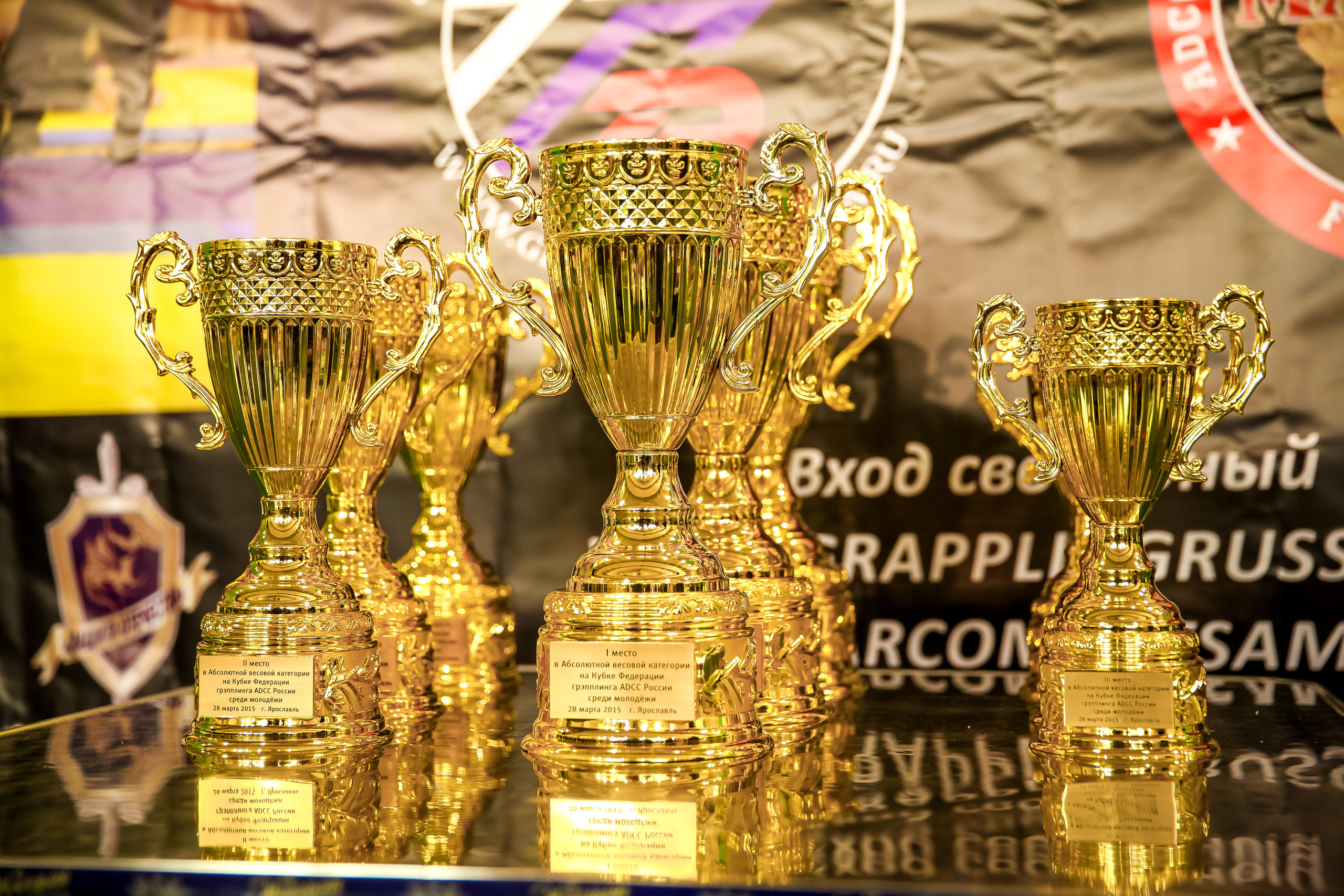 ADCC борьба первенство Ярославля