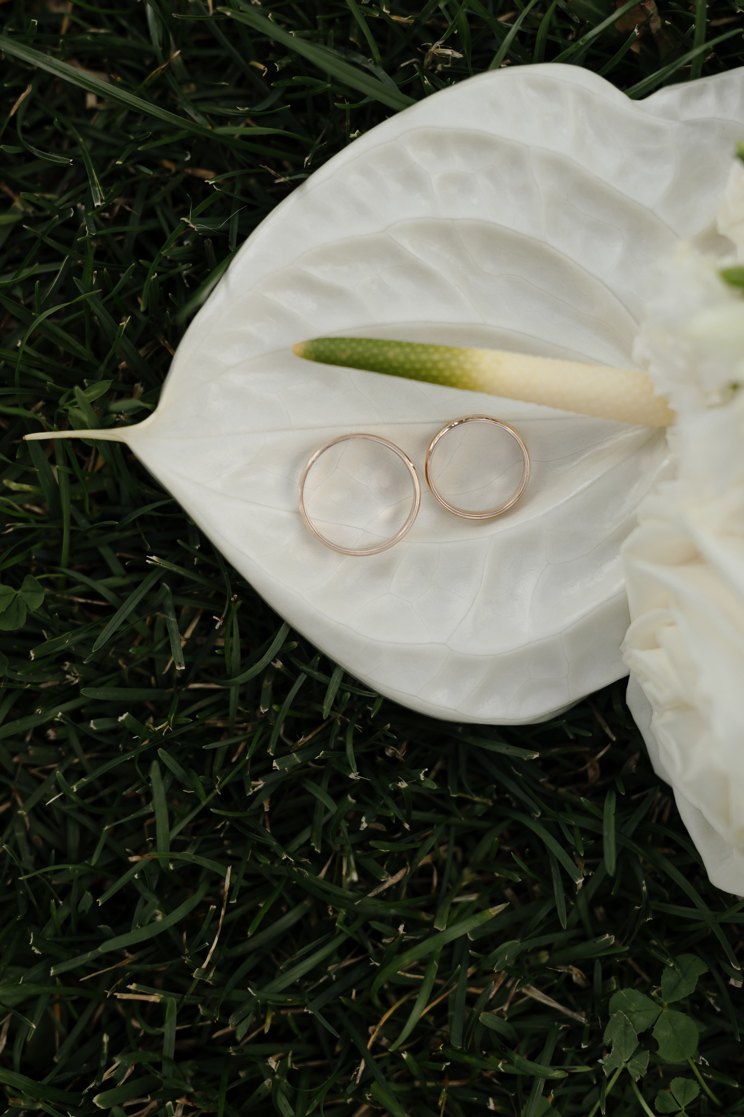 Свадьба Ильи и Натальи. Фотограф Кольчугино/Владимир/Москва Елизавета Иода