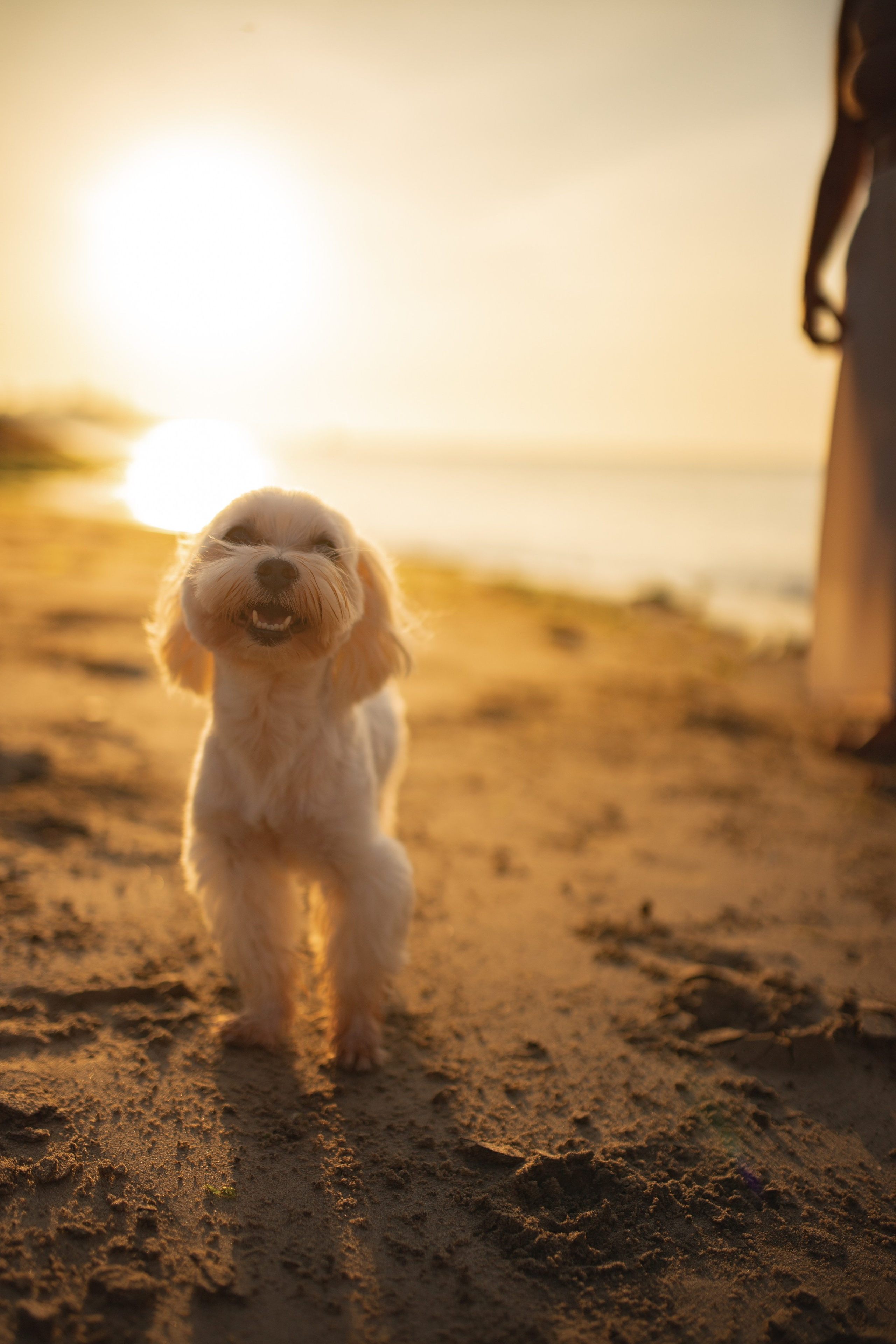 Анастасия и ее Пират.Нячанг. Главная