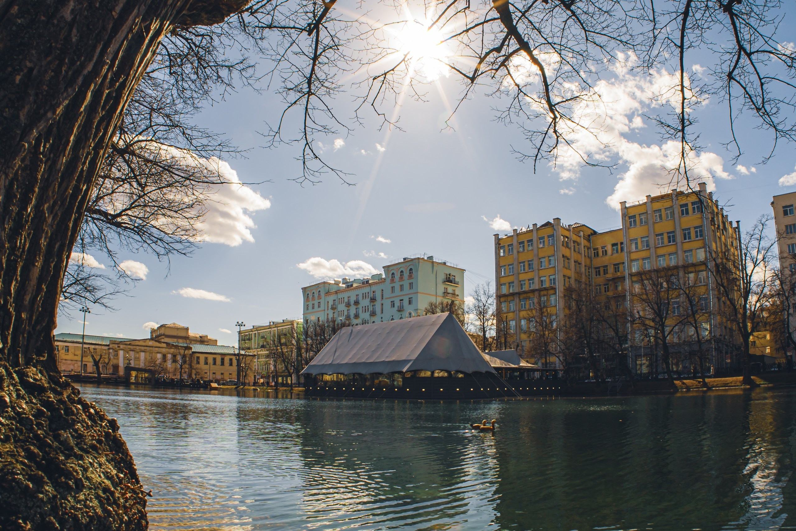 Фото-прогулка. Пенкин Александр