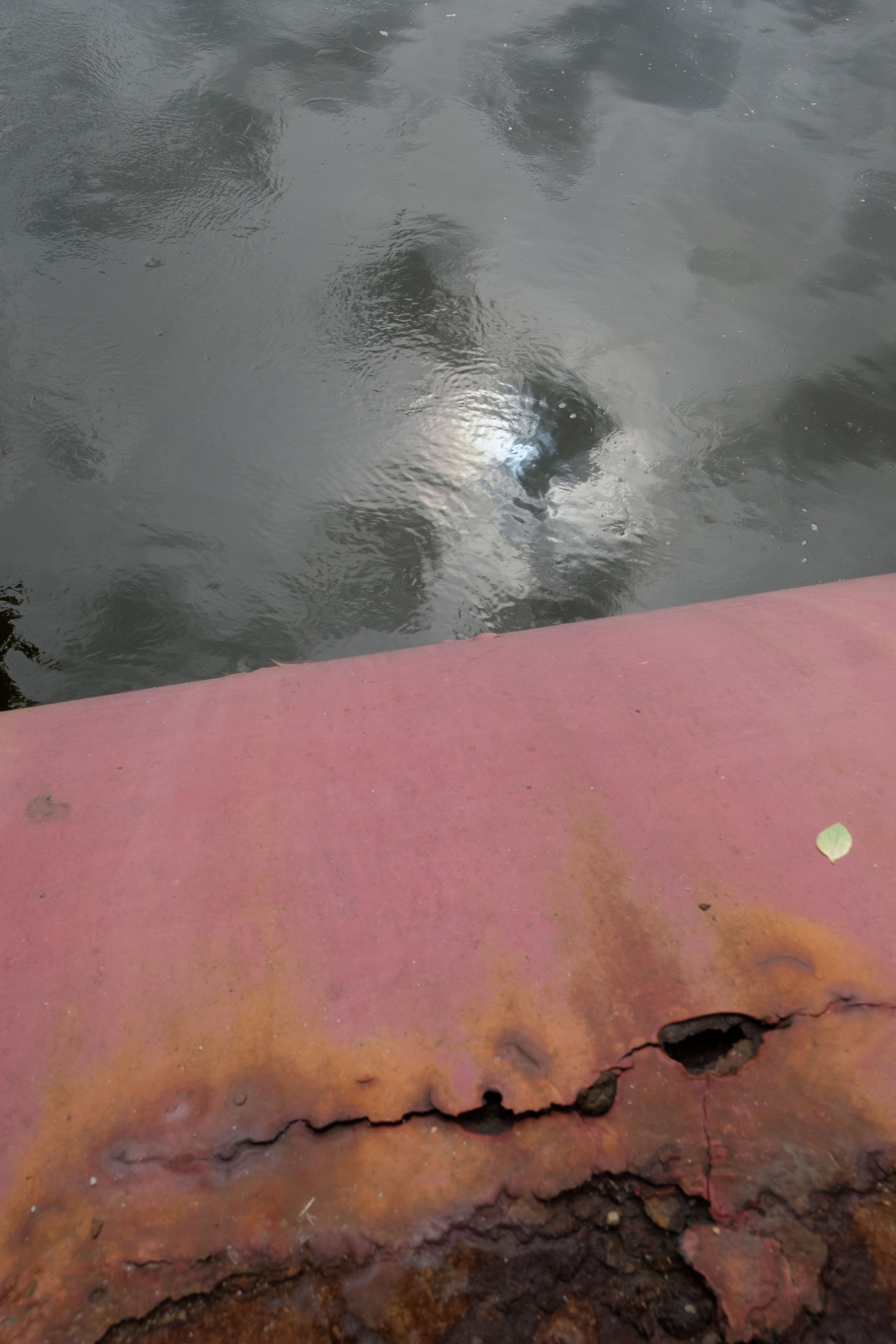 Simple. Photos. Photographer, Documentary and Art