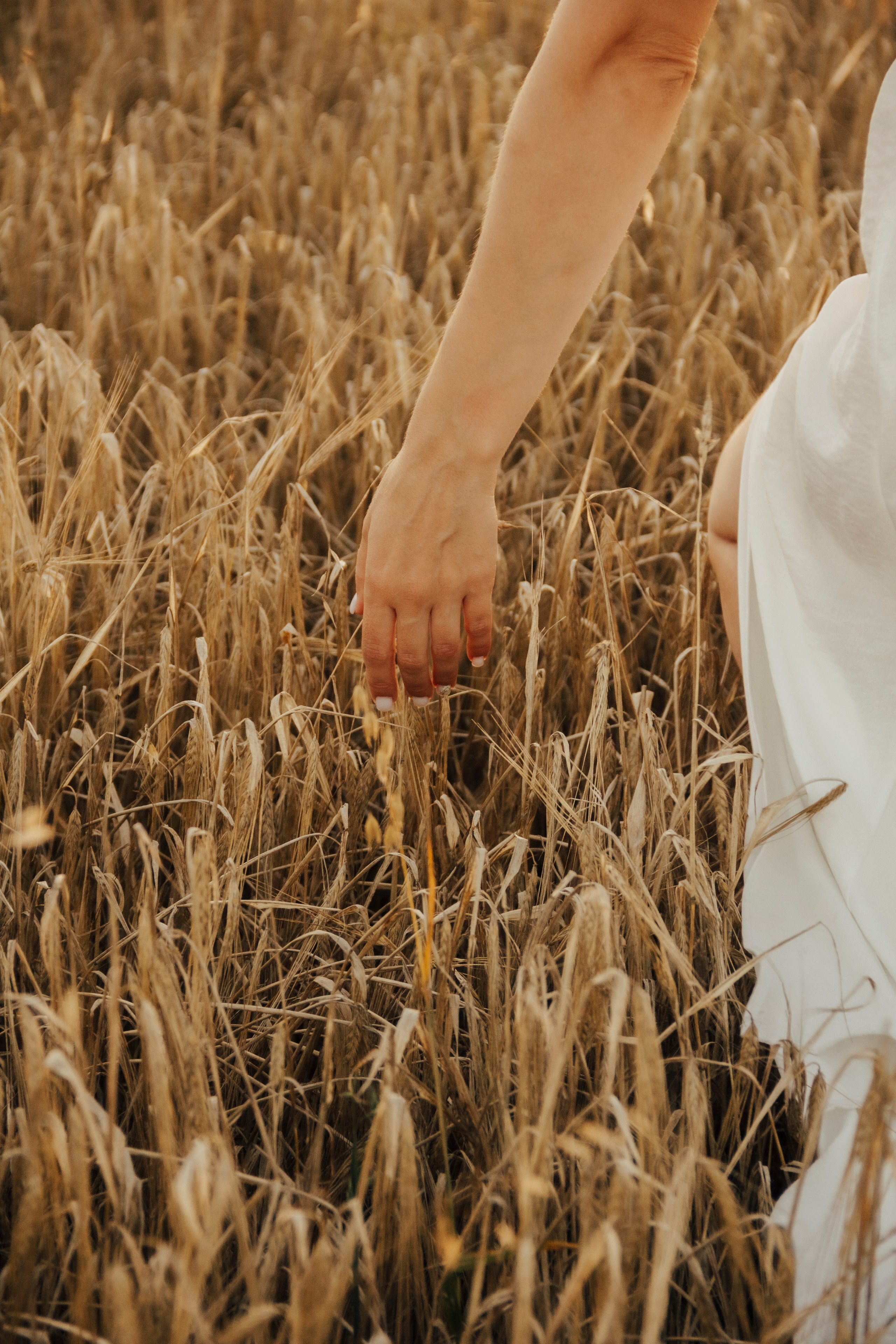 Семейная прогулка. ProFoto