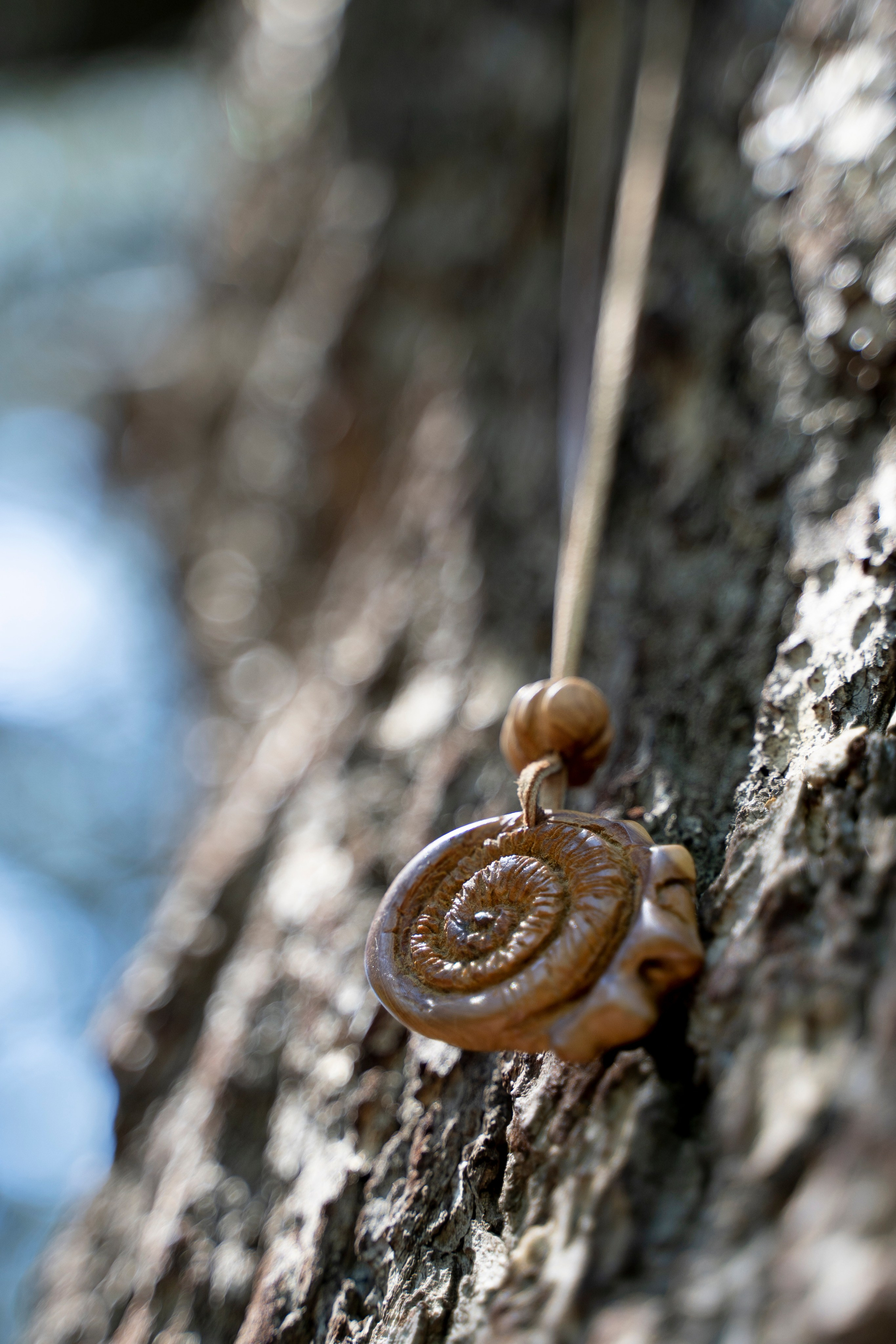 КОЕ-КАКИЕ ПРЕДМЕТЫ. Фотограф Татьяна Андриянова