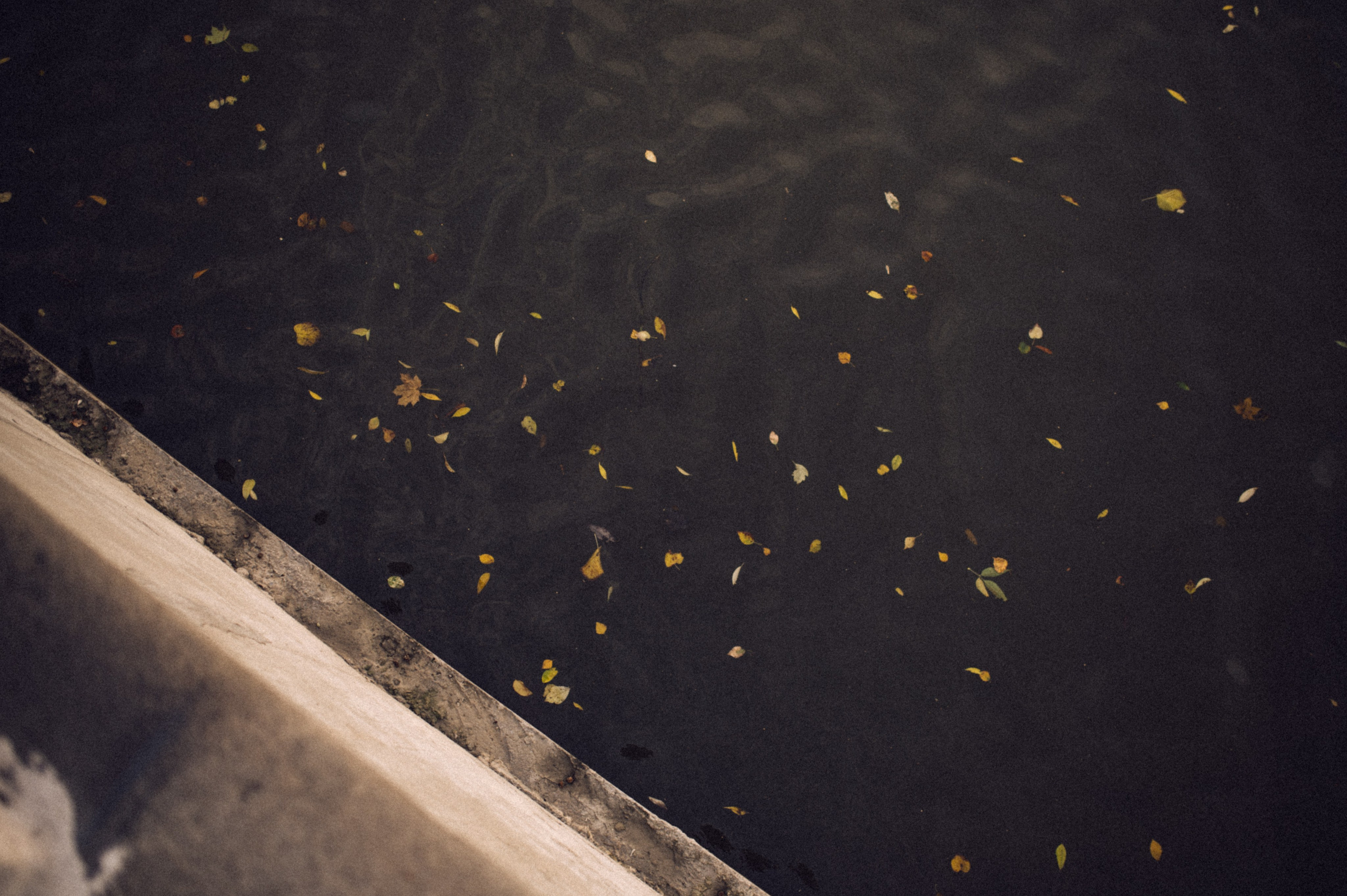 Лера🤍. Лайфстайл фотограф в Москве Серебрянская Фаина