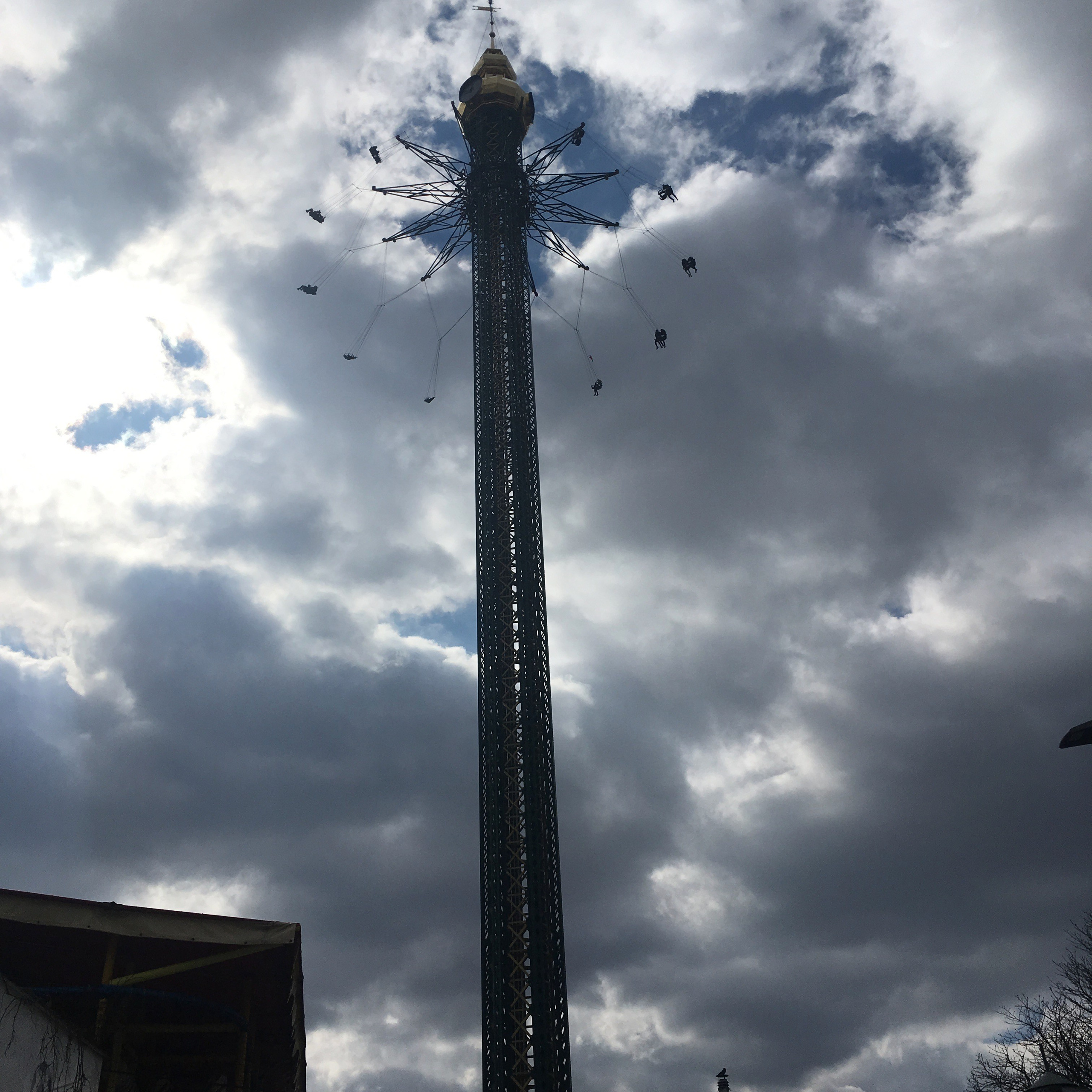 Вена — 19. Своя Мастерская