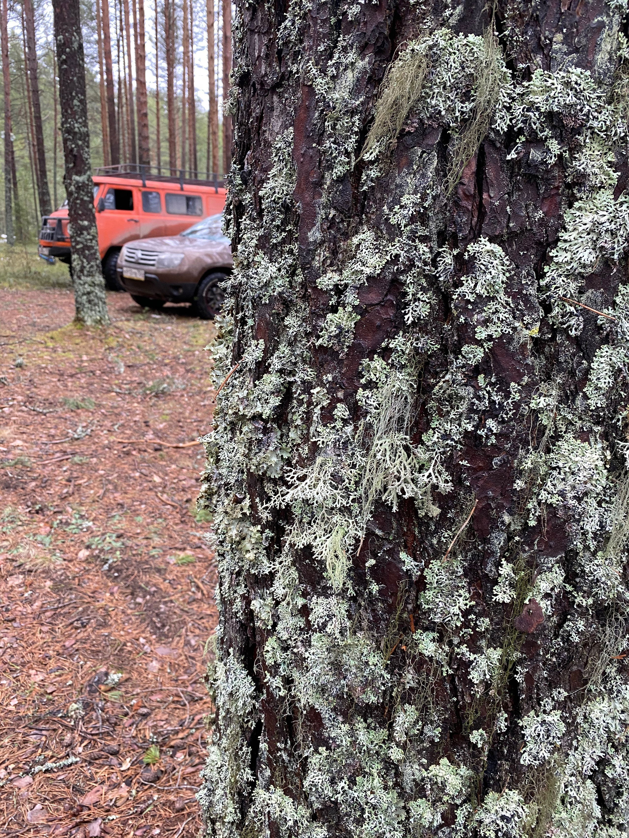 Вокруг Селигера-20. Своя Мастерская
