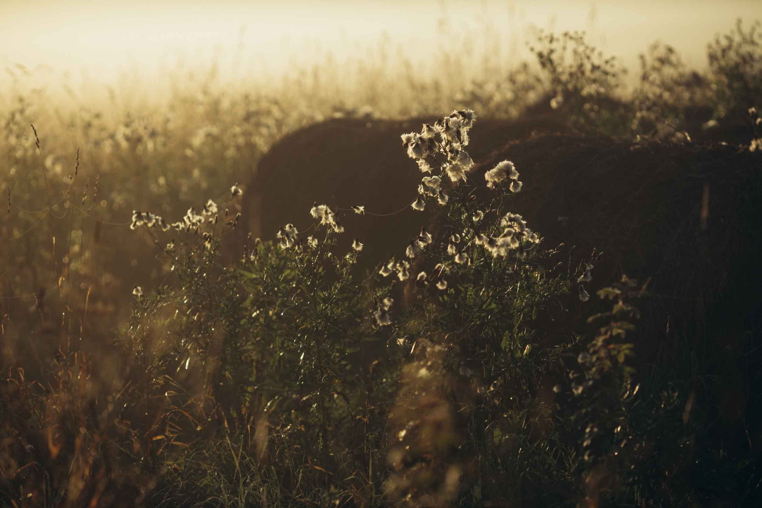 Природные пейзажи. Наталия Клевинскас портретный фотограф в Костроме