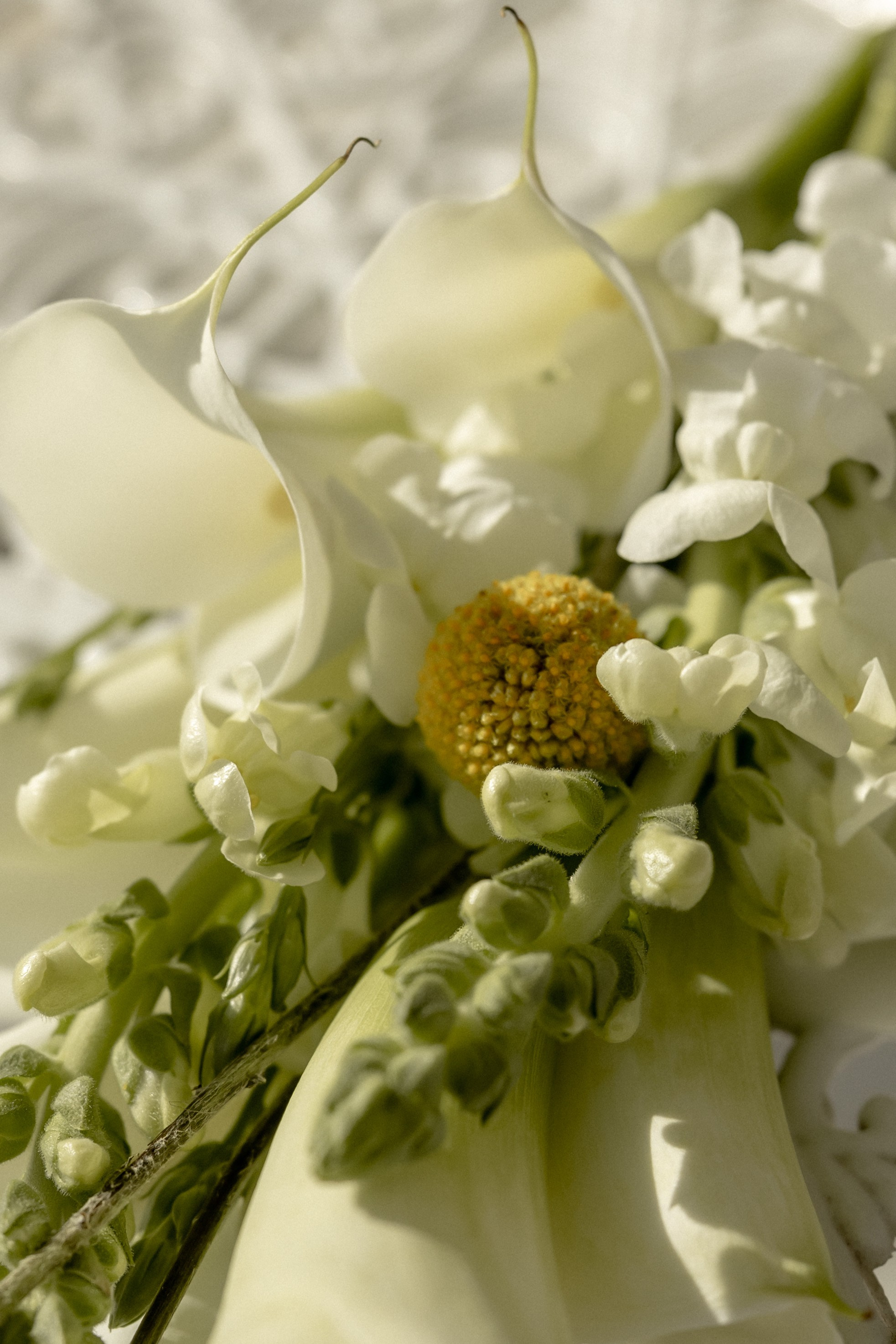 Алексей и Татьяна 31/05/2025. Свадебный и семейный фотограф в Севастополе и в Крыму Анастасия Корчак