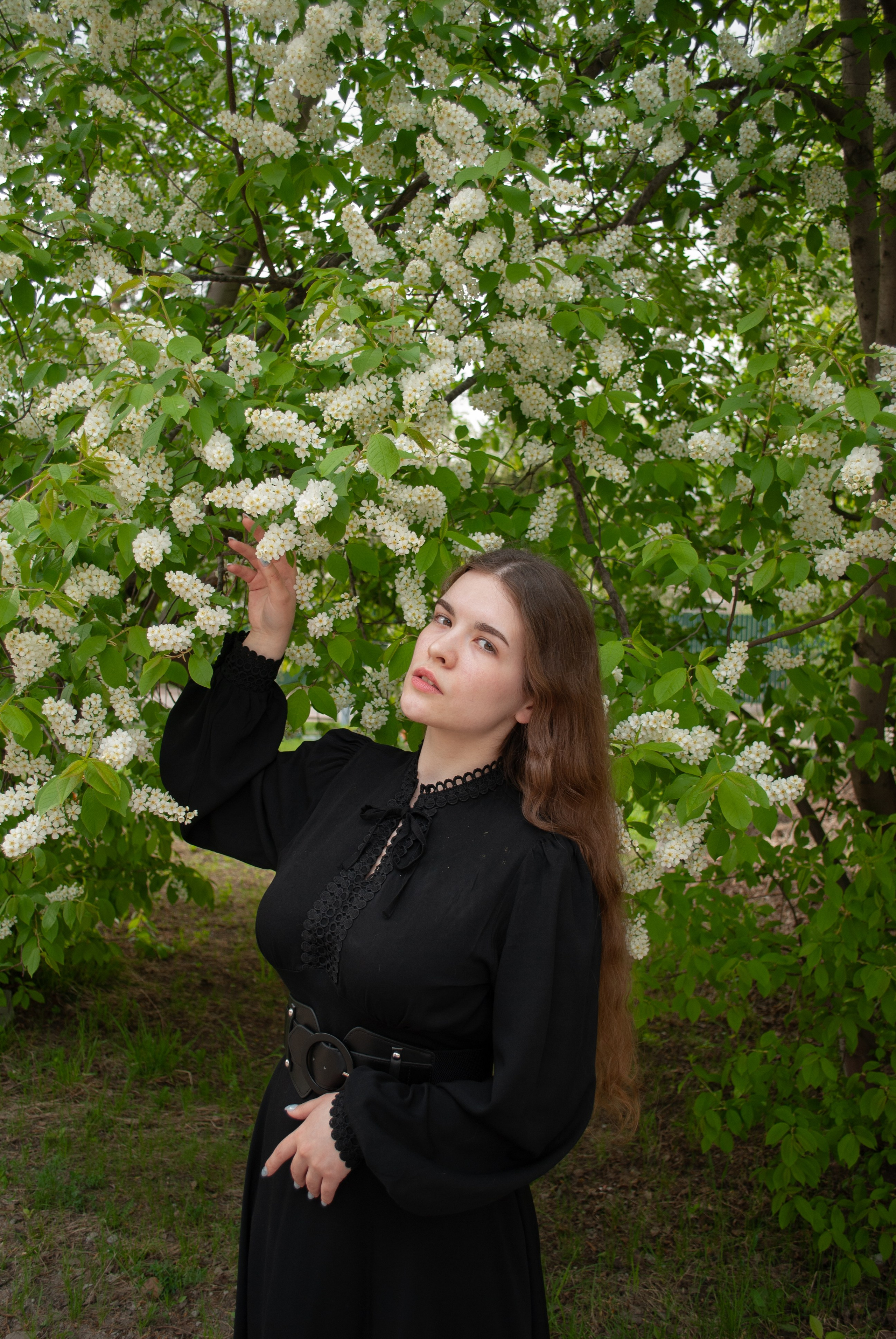 Цветение. Alina.Dvt — профессиональный фотограф|Красноярск