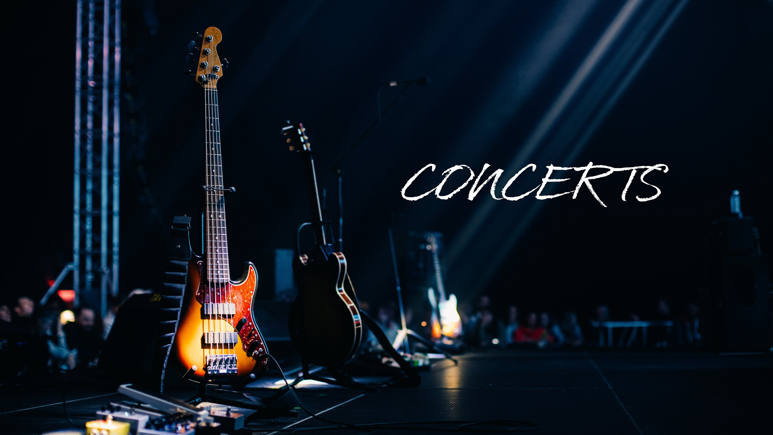 CONCERTS. Photographer Zoya Smirnova