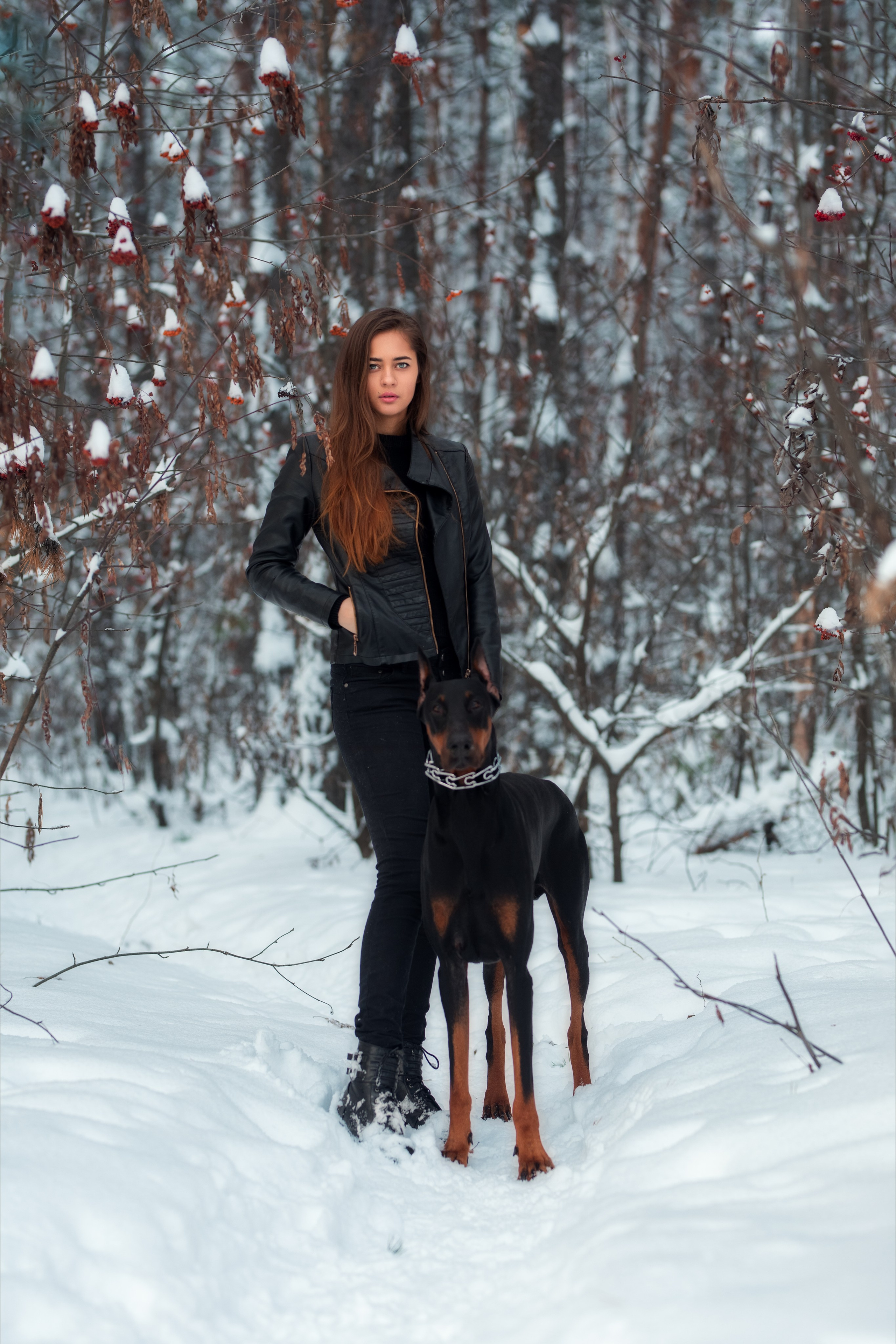 Зимняя съемка в лесу с доберманом с Ольгой в формате для «себя»